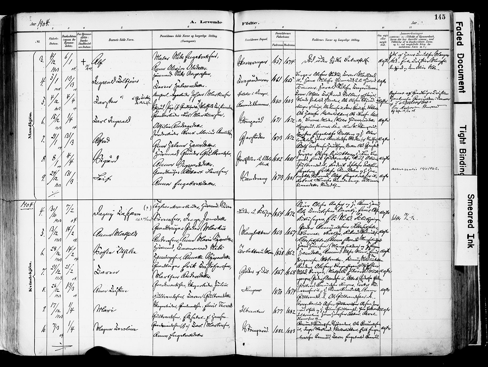 Sør-Odal prestekontor, SAH/PREST-030/H/Ha/Haa/L0006: Parish register (official) no. 6, 1886-1931, p. 145