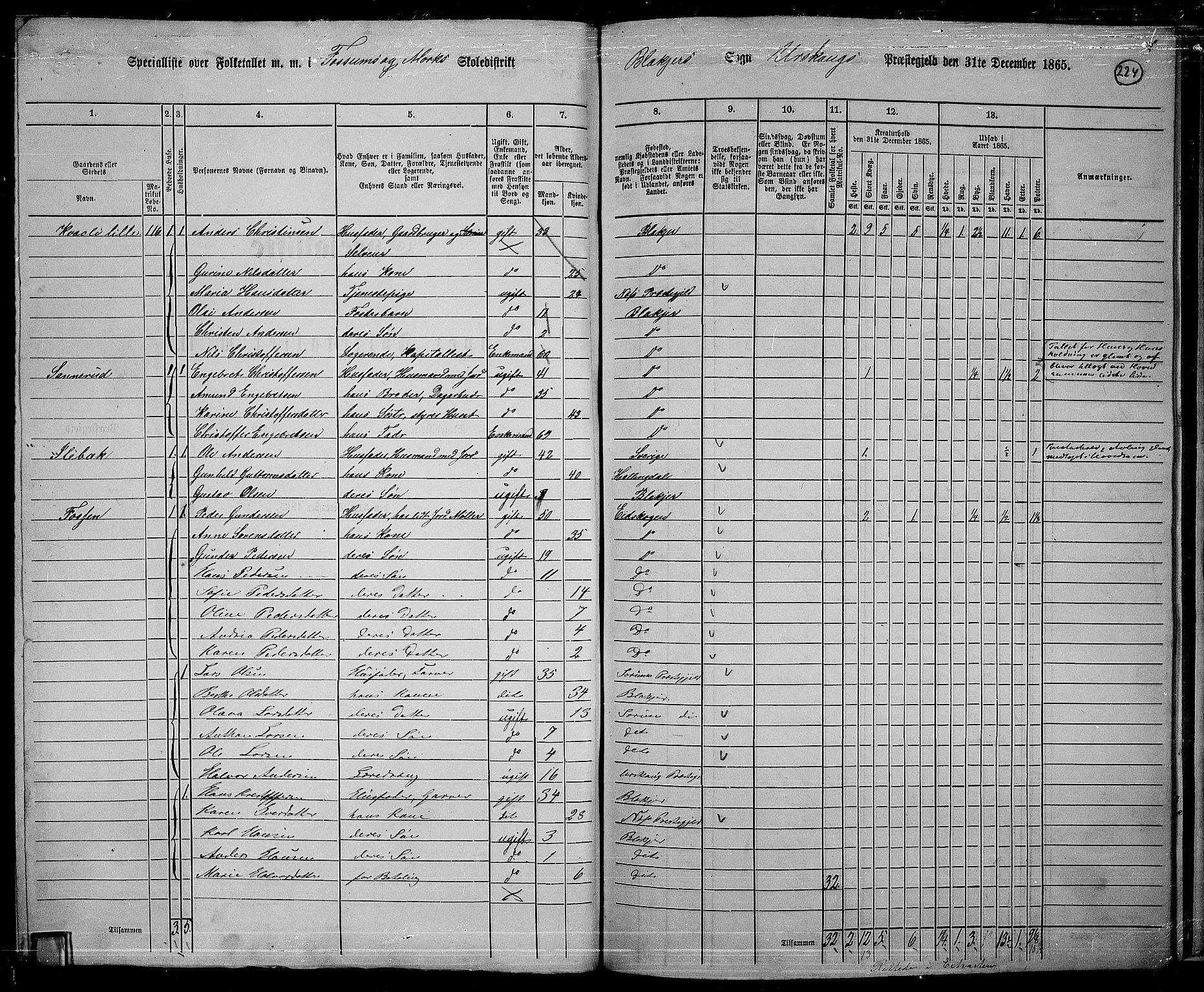 RA, 1865 census for Aurskog, 1865, p. 202