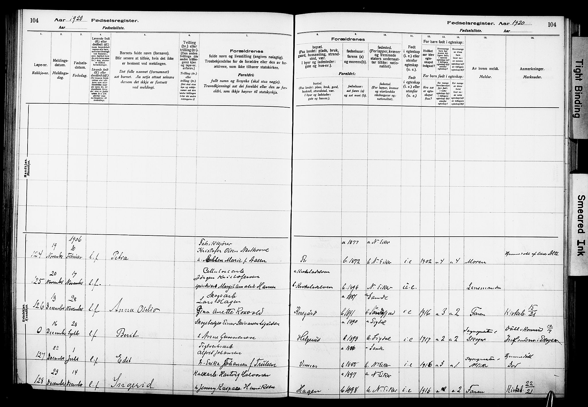 Nedre Eiker kirkebøker, SAKO/A-612/J/Ja/L0001: Birth register no. 1, 1916-1925, p. 104