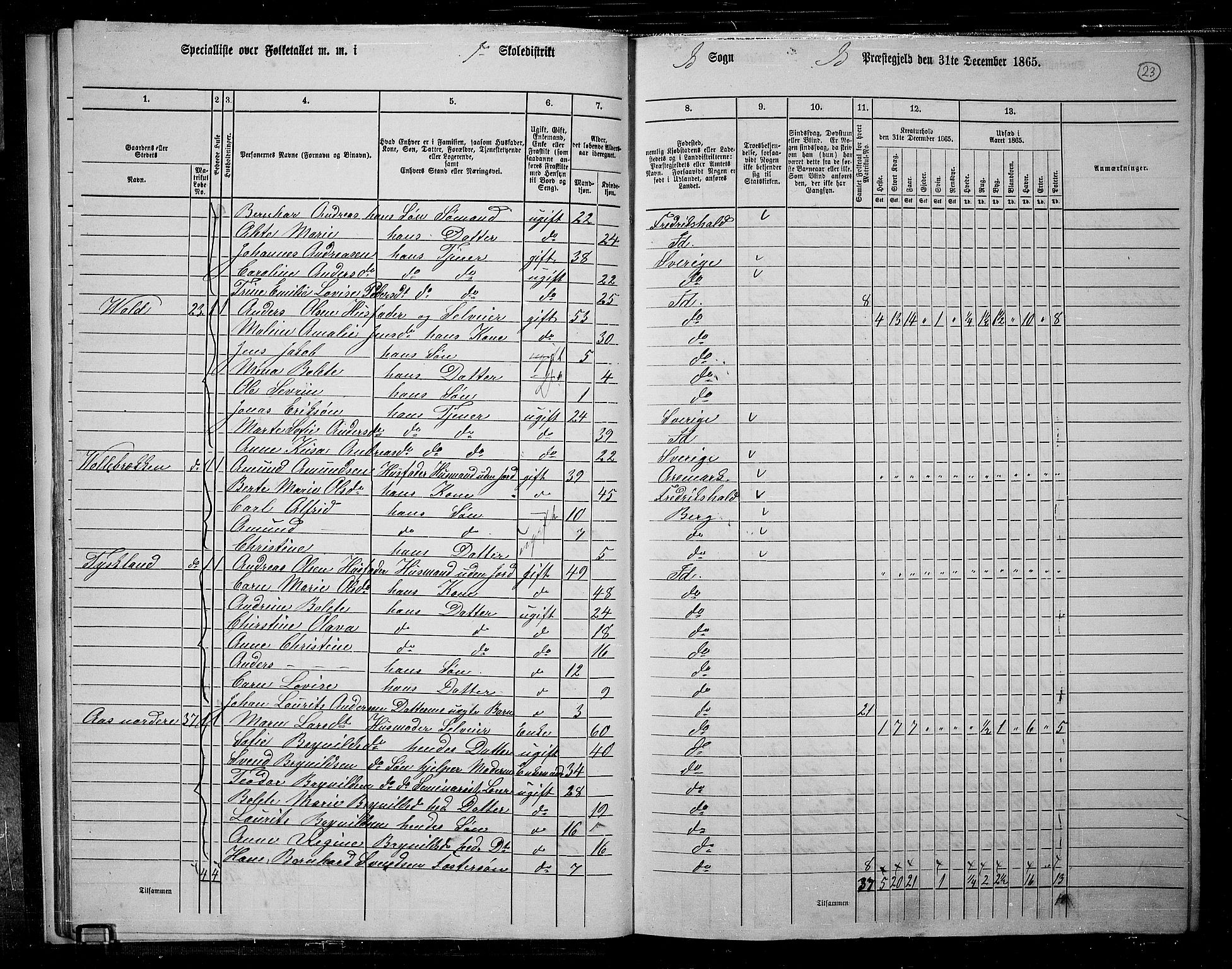 RA, 1865 census for Idd, 1865, p. 21