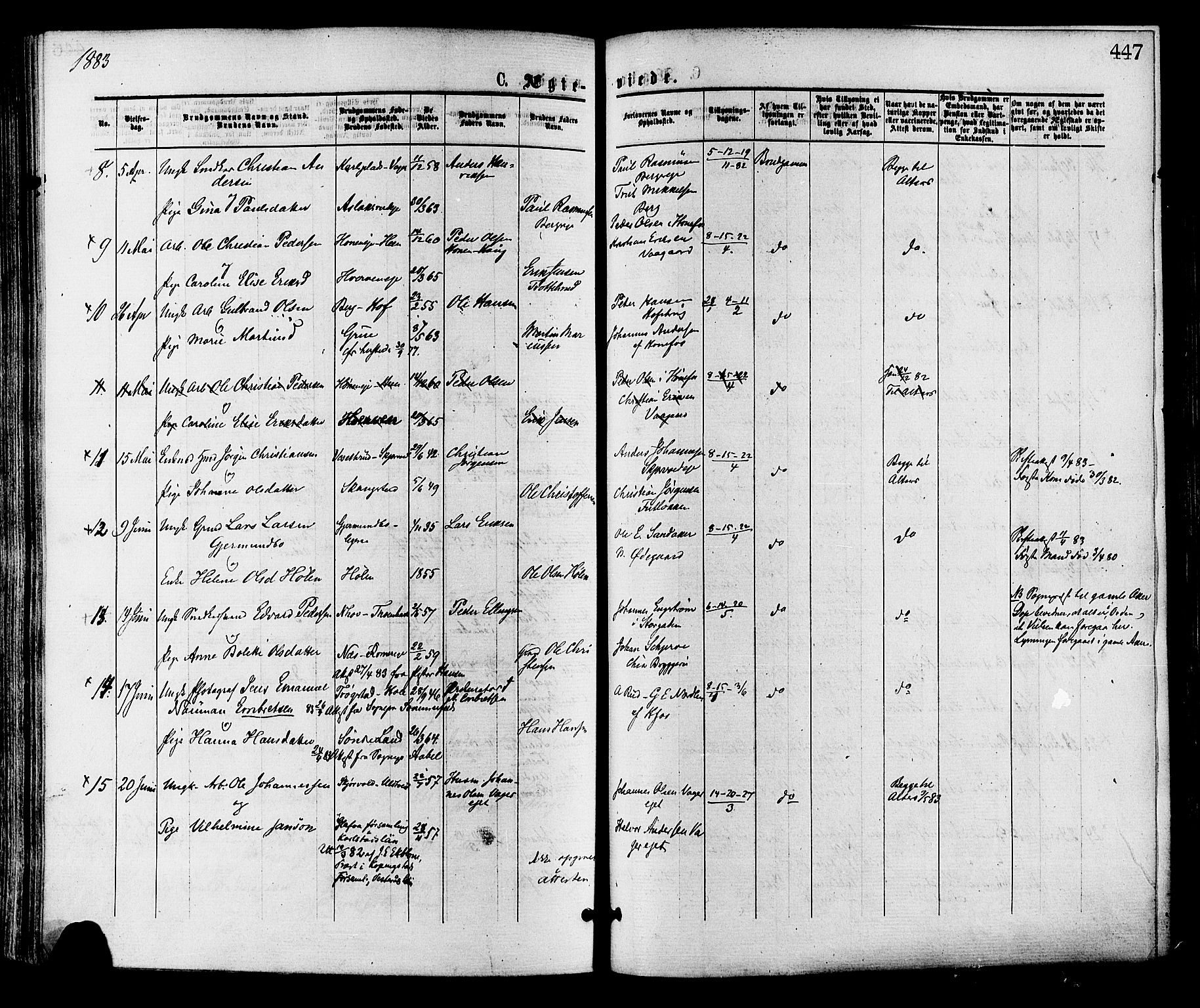 Norderhov kirkebøker, AV/SAKO-A-237/F/Fa/L0015: Parish register (official) no. 15, 1875-1884, p. 447