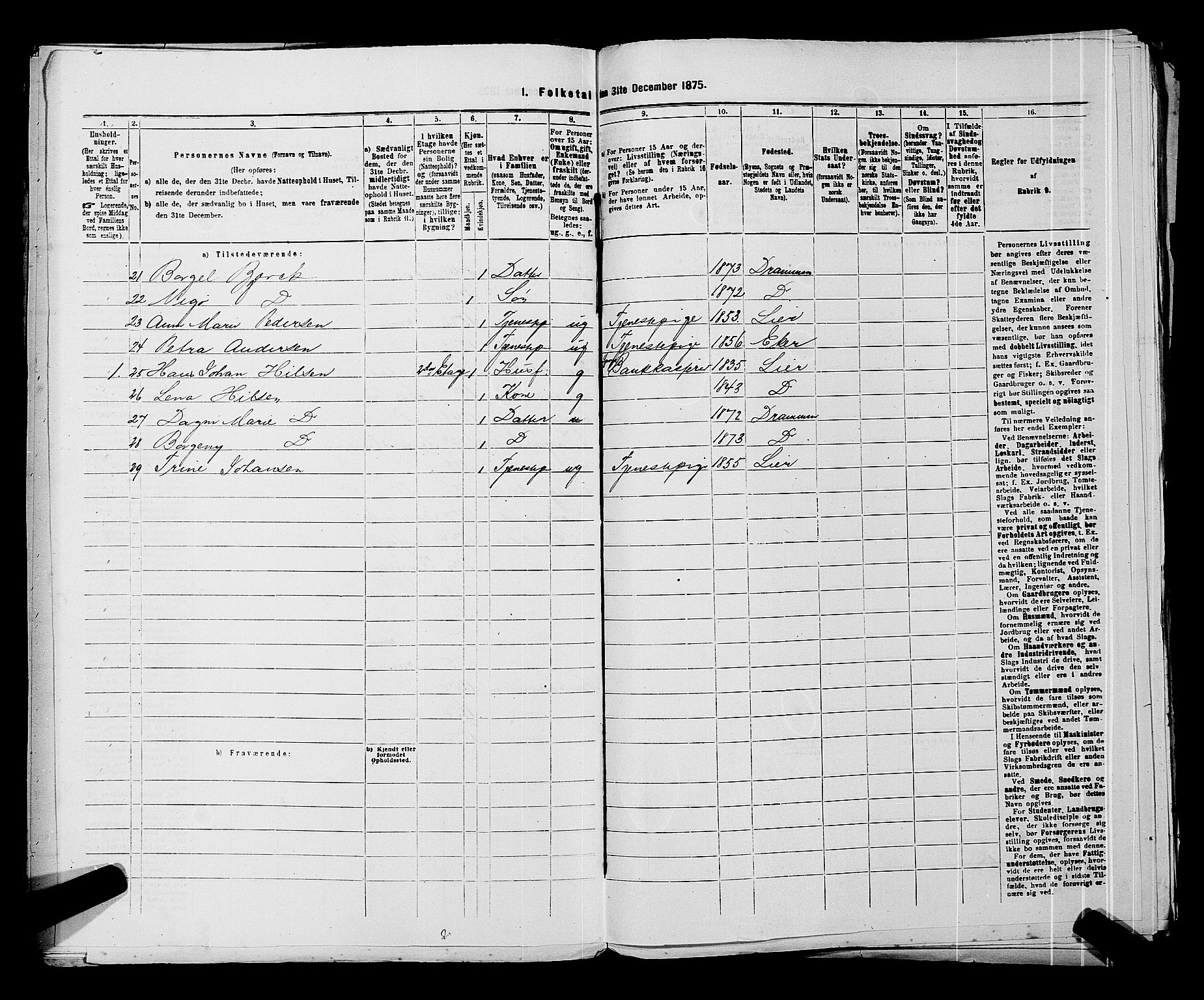 SAKO, 1875 census for 0602 Drammen, 1875, p. 355