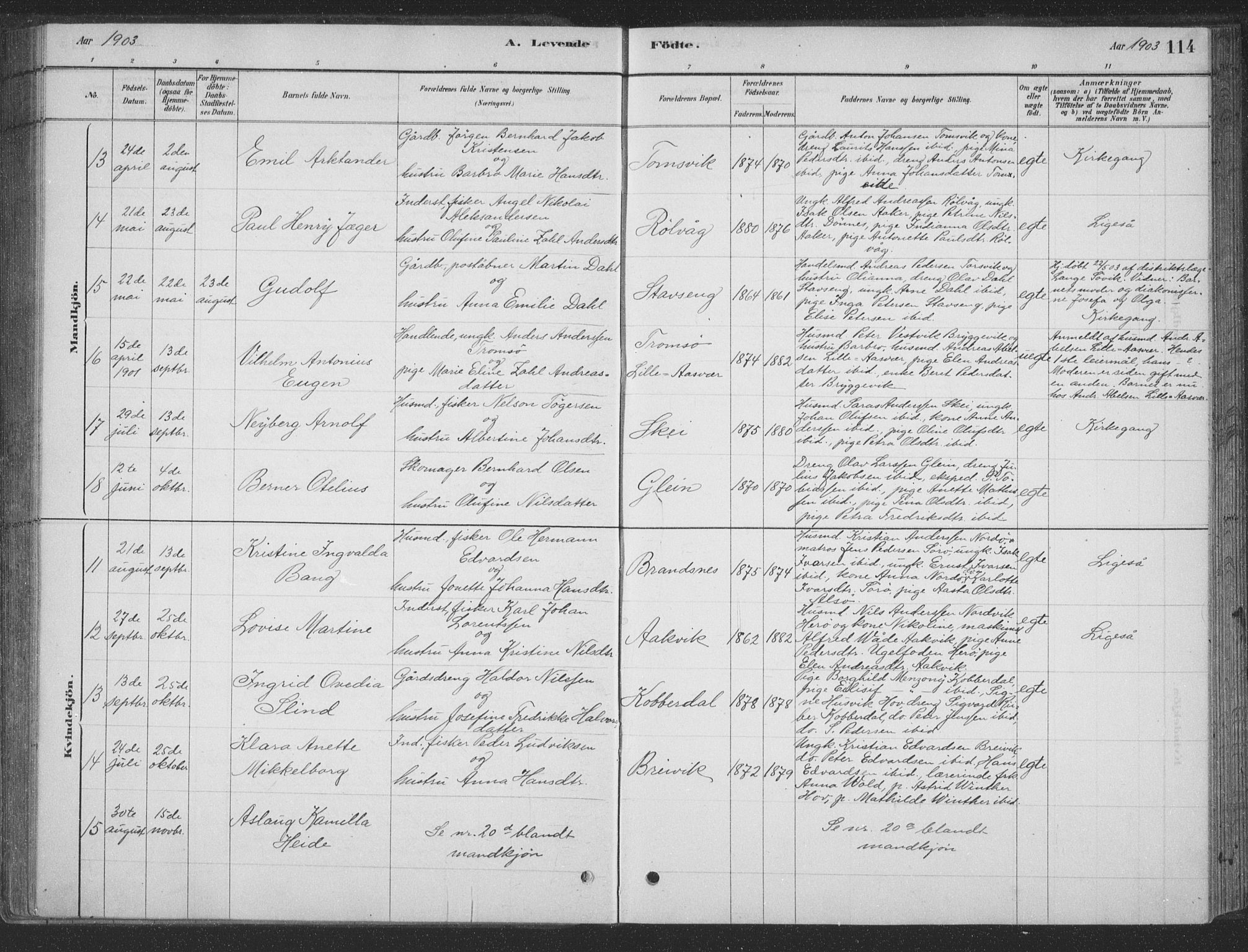 Ministerialprotokoller, klokkerbøker og fødselsregistre - Nordland, AV/SAT-A-1459/835/L0532: Parish register (copy) no. 835C04, 1880-1905, p. 114