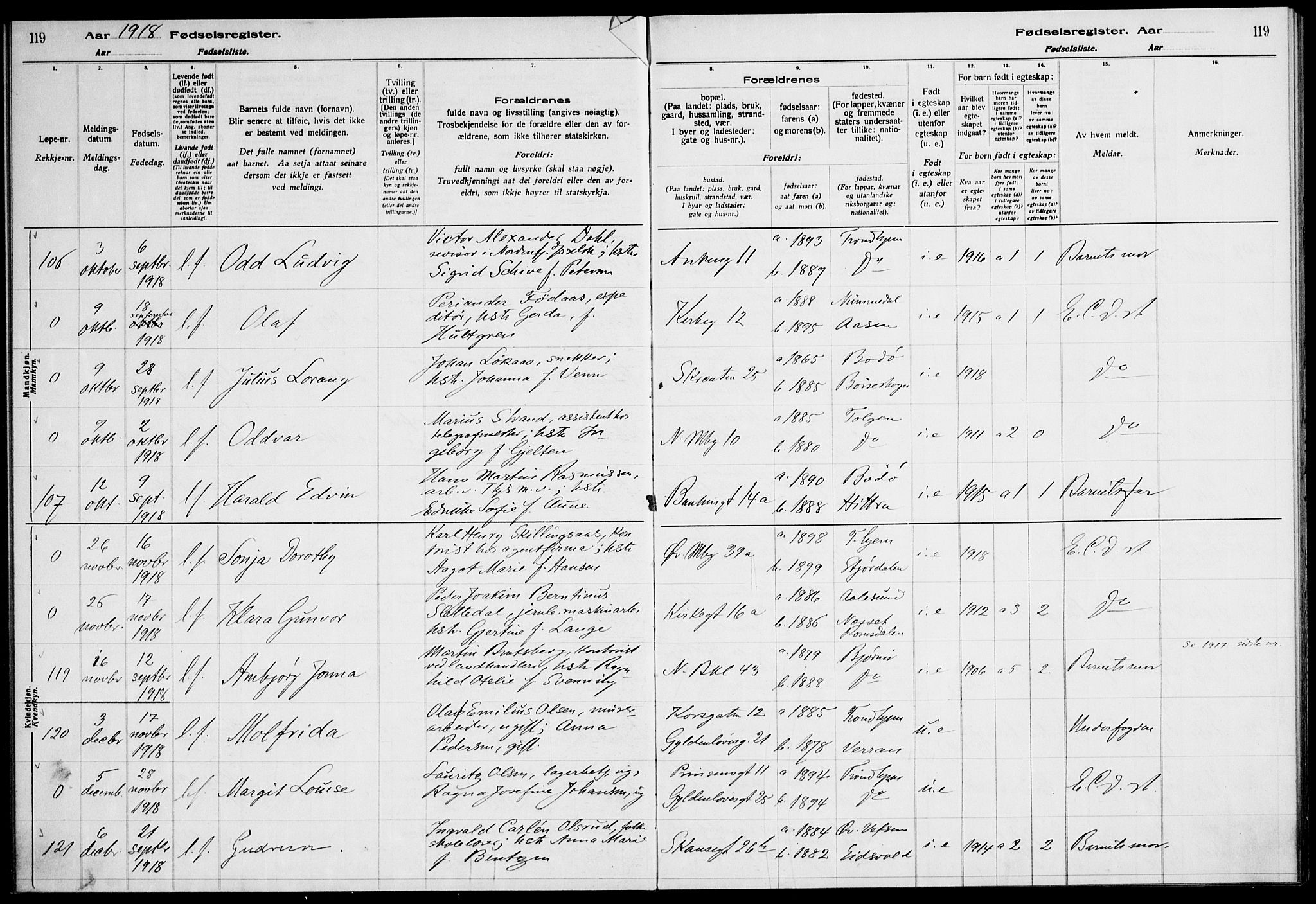 Ministerialprotokoller, klokkerbøker og fødselsregistre - Sør-Trøndelag, SAT/A-1456/604/L0232: Birth register no. 604.II.4.1, 1916-1920, p. 119