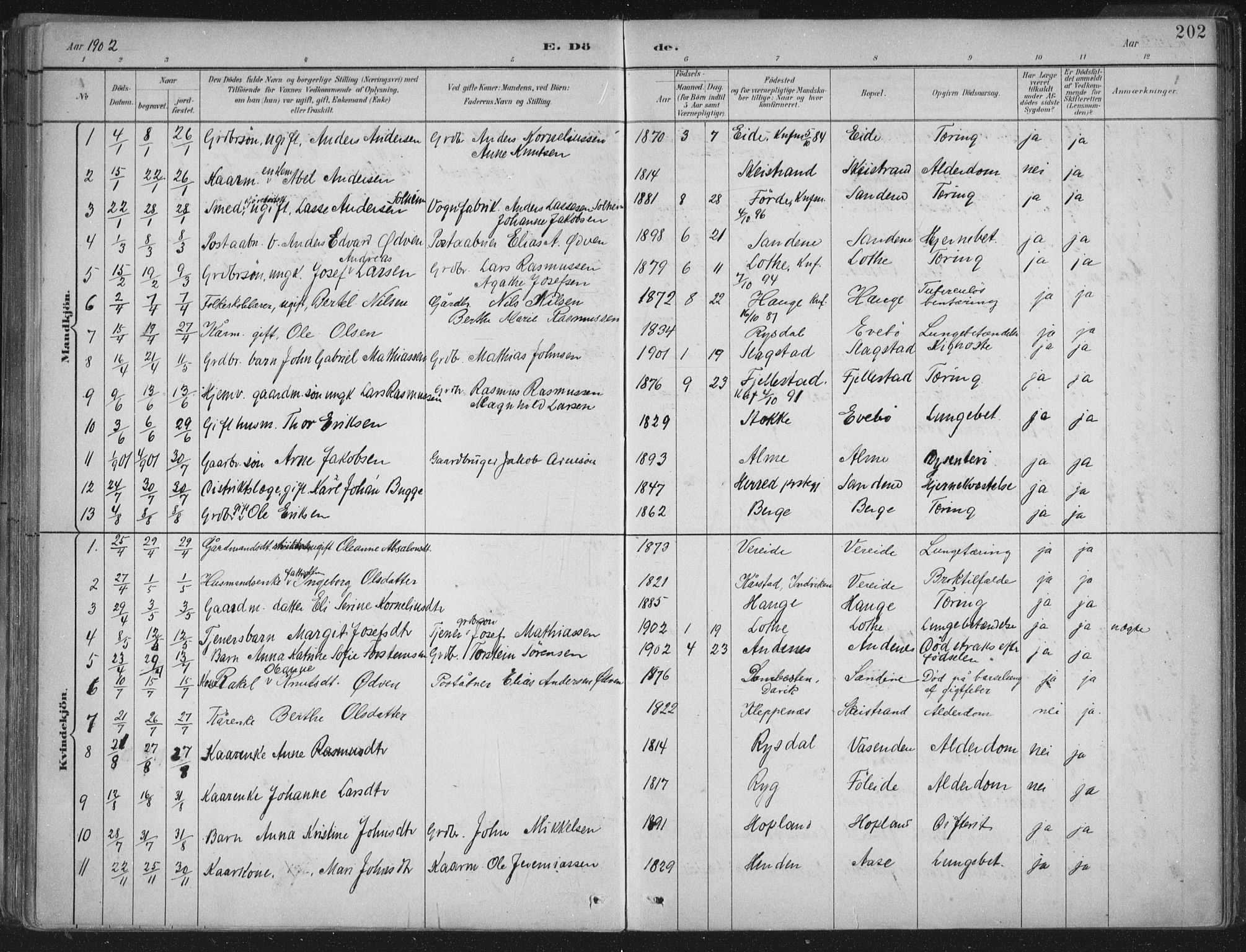 Gloppen sokneprestembete, AV/SAB-A-80101/H/Haa/Haab/L0001: Parish register (official) no. B  1, 1885-1905, p. 202