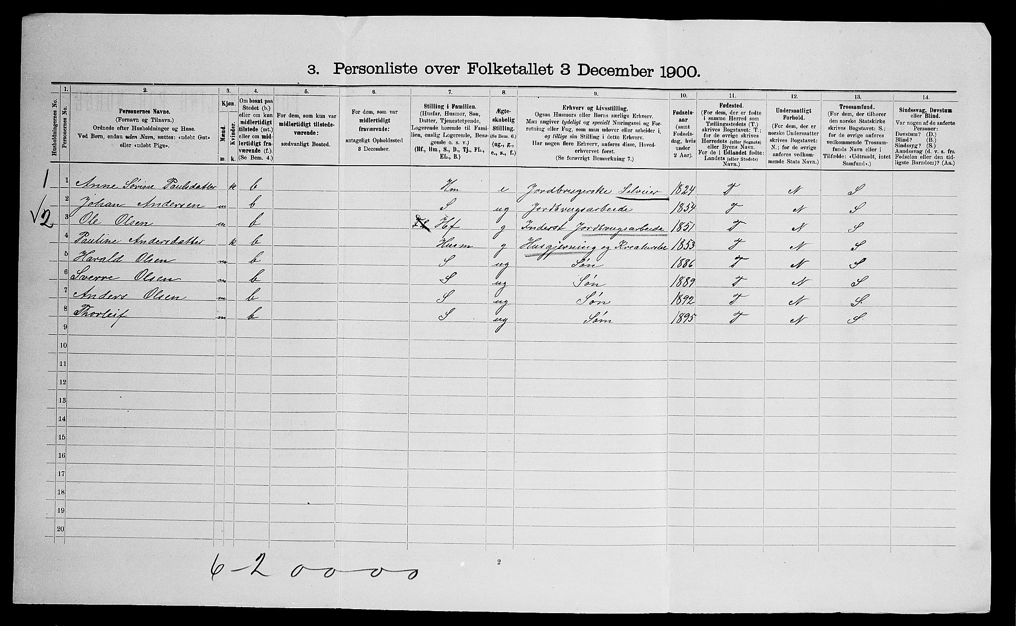 SAO, 1900 census for Nes, 1900