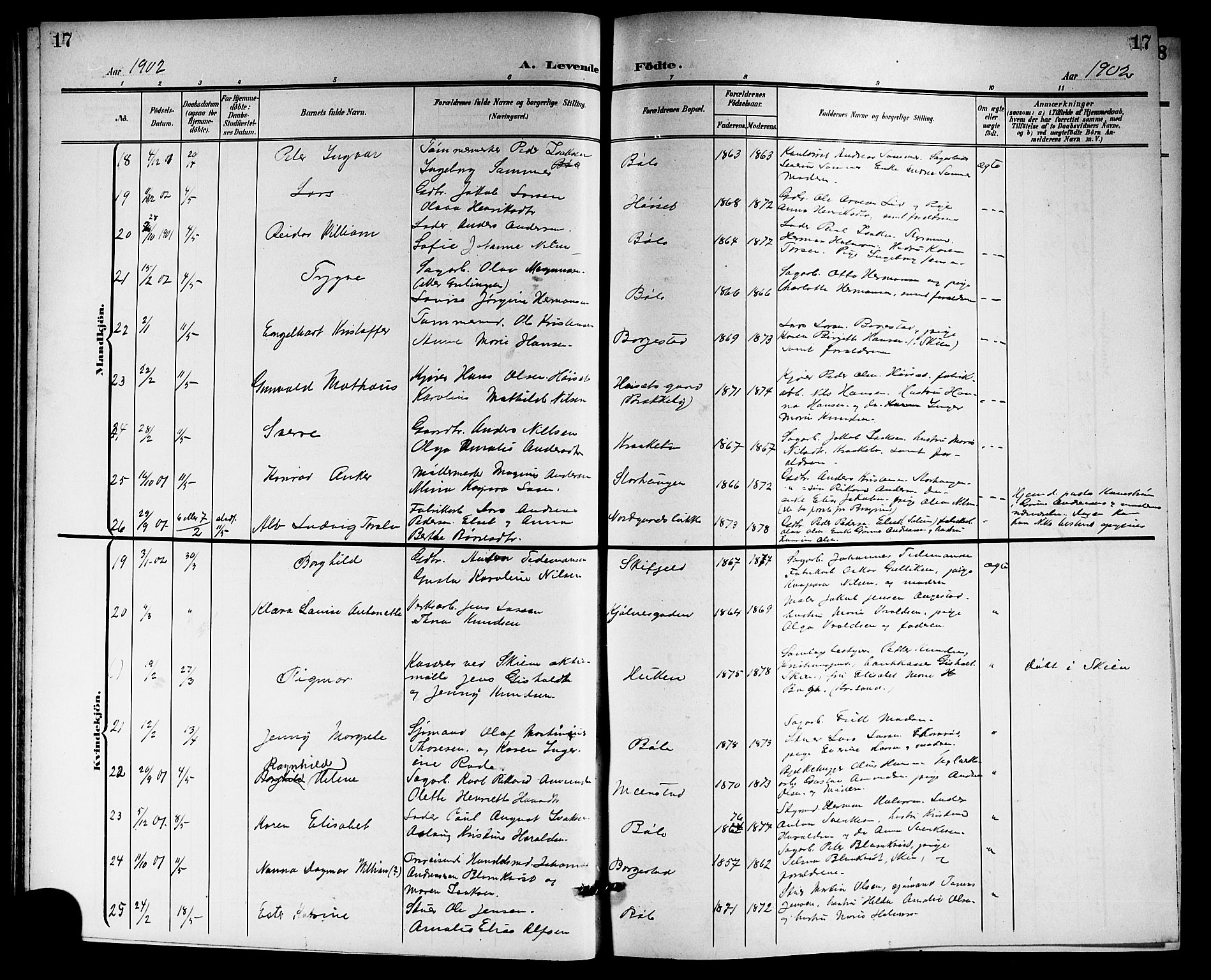 Gjerpen kirkebøker, AV/SAKO-A-265/G/Ga/L0003: Parish register (copy) no. I 3, 1901-1919, p. 17