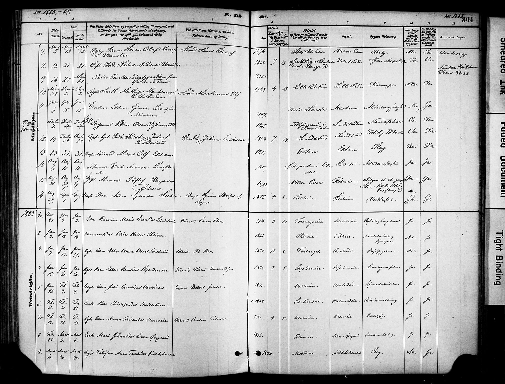 Stange prestekontor, AV/SAH-PREST-002/K/L0017: Parish register (official) no. 17, 1880-1893, p. 304