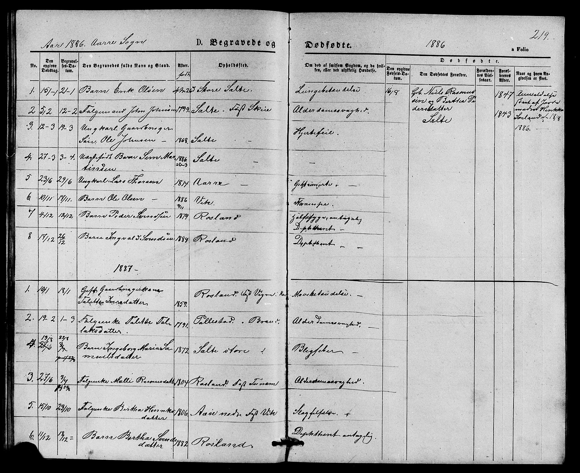 Klepp sokneprestkontor, SAST/A-101803/001/3/30BB/L0003: Parish register (copy) no. B 3, 1876-1888, p. 219