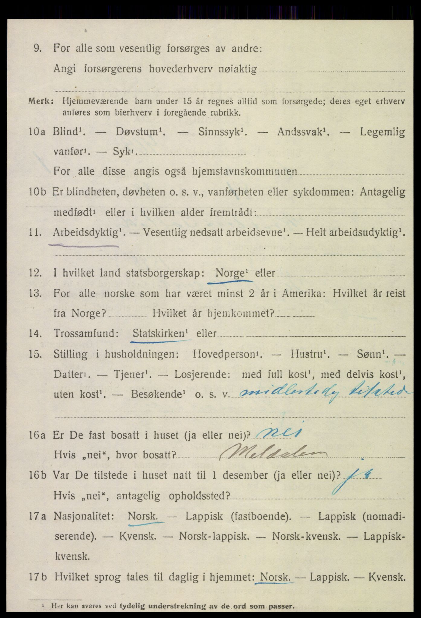 SAT, 1920 census for Åsen, 1920, p. 1699