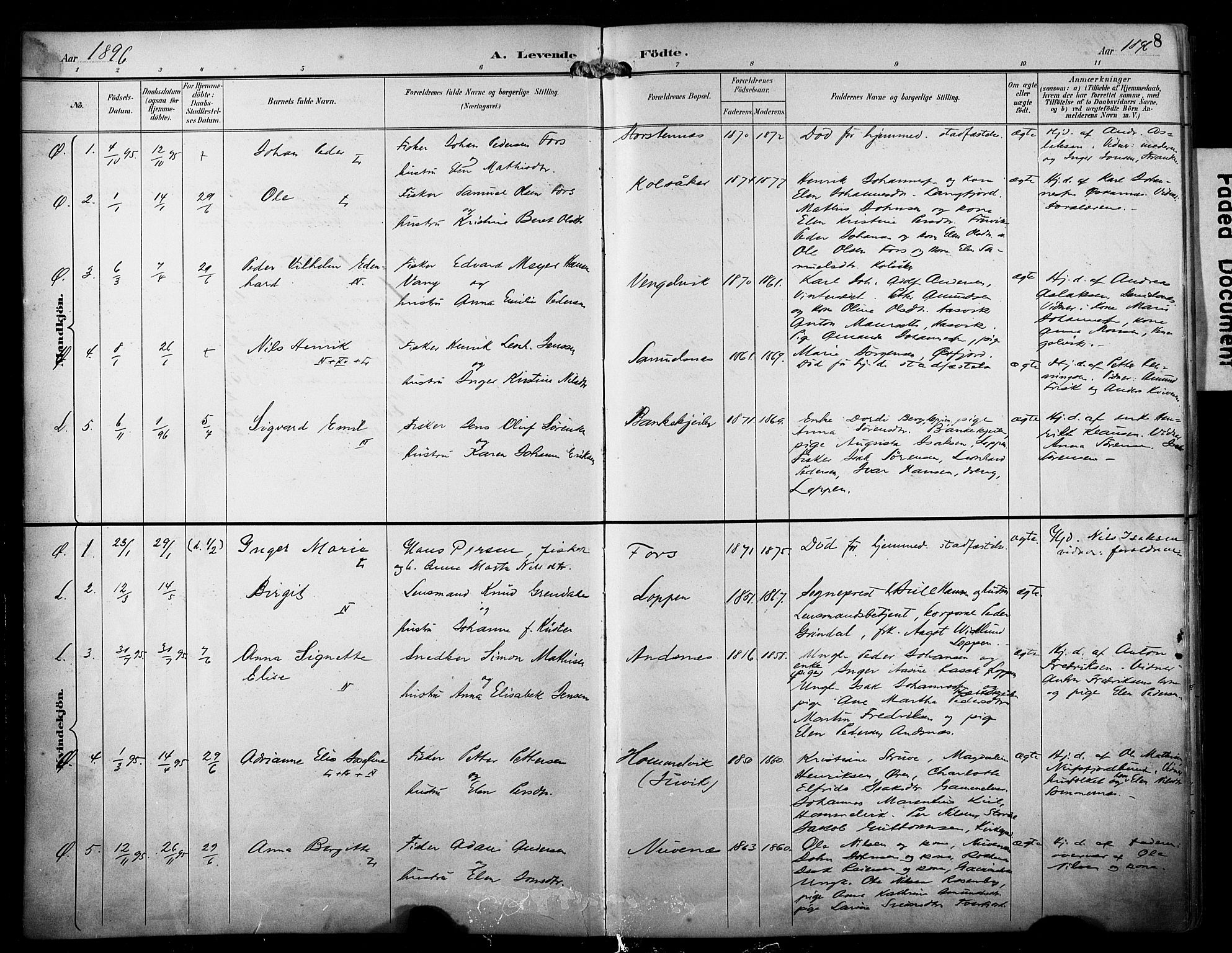 Loppa sokneprestkontor, AV/SATØ-S-1339/H/Ha/L0009kirke: Parish register (official) no. 9, 1895-1909, p. 8