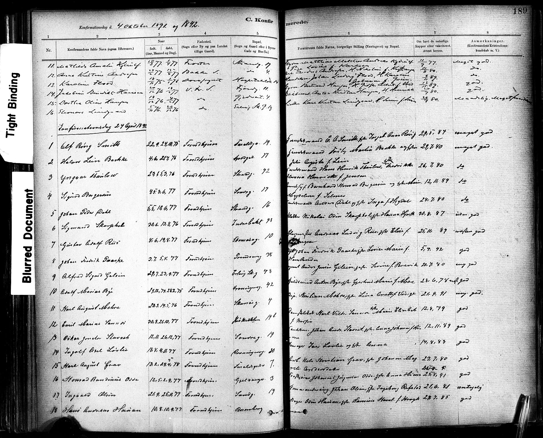 Ministerialprotokoller, klokkerbøker og fødselsregistre - Sør-Trøndelag, SAT/A-1456/602/L0119: Parish register (official) no. 602A17, 1880-1901, p. 189