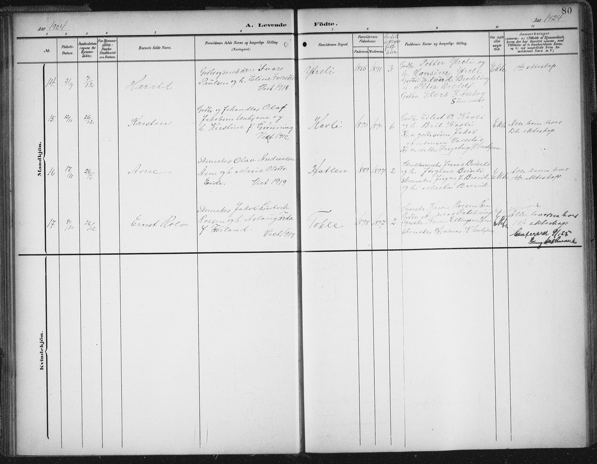 Ministerialprotokoller, klokkerbøker og fødselsregistre - Møre og Romsdal, AV/SAT-A-1454/545/L0589: Parish register (copy) no. 545C03, 1902-1937, p. 80