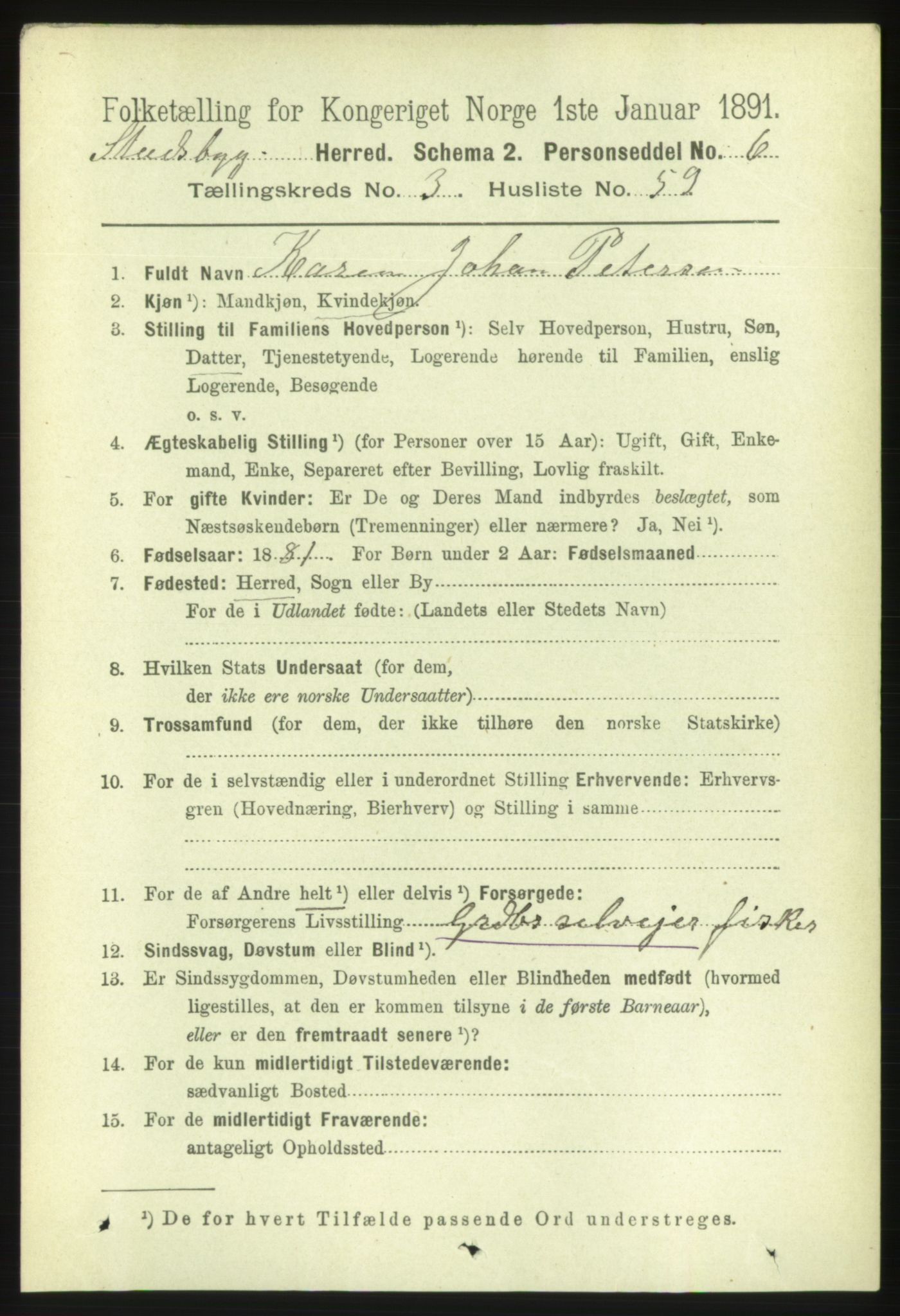 RA, 1891 census for 1625 Stadsbygd, 1891, p. 1744