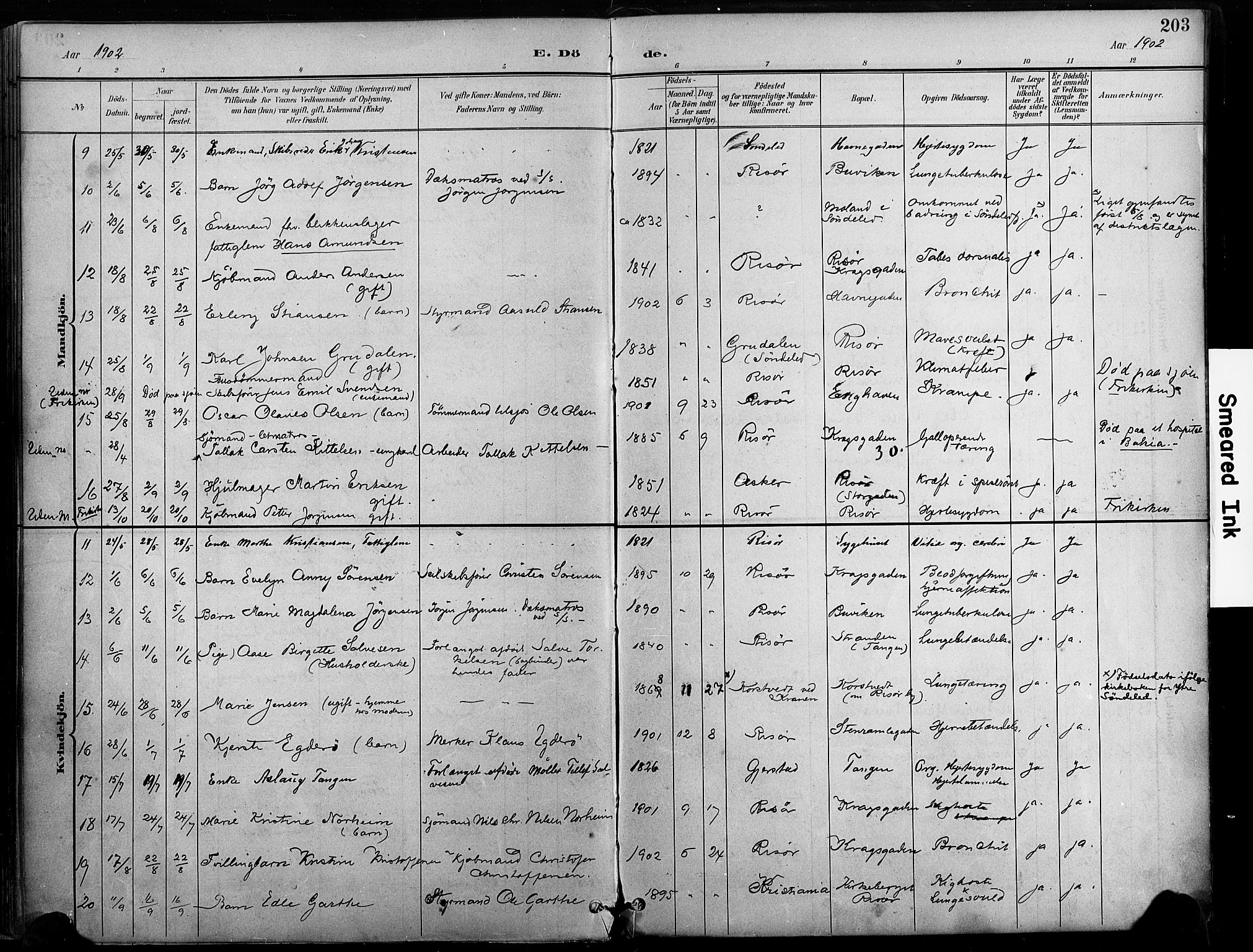 Risør sokneprestkontor, SAK/1111-0035/F/Fa/L0010: Parish register (official) no. A 10, 1896-1906, p. 203