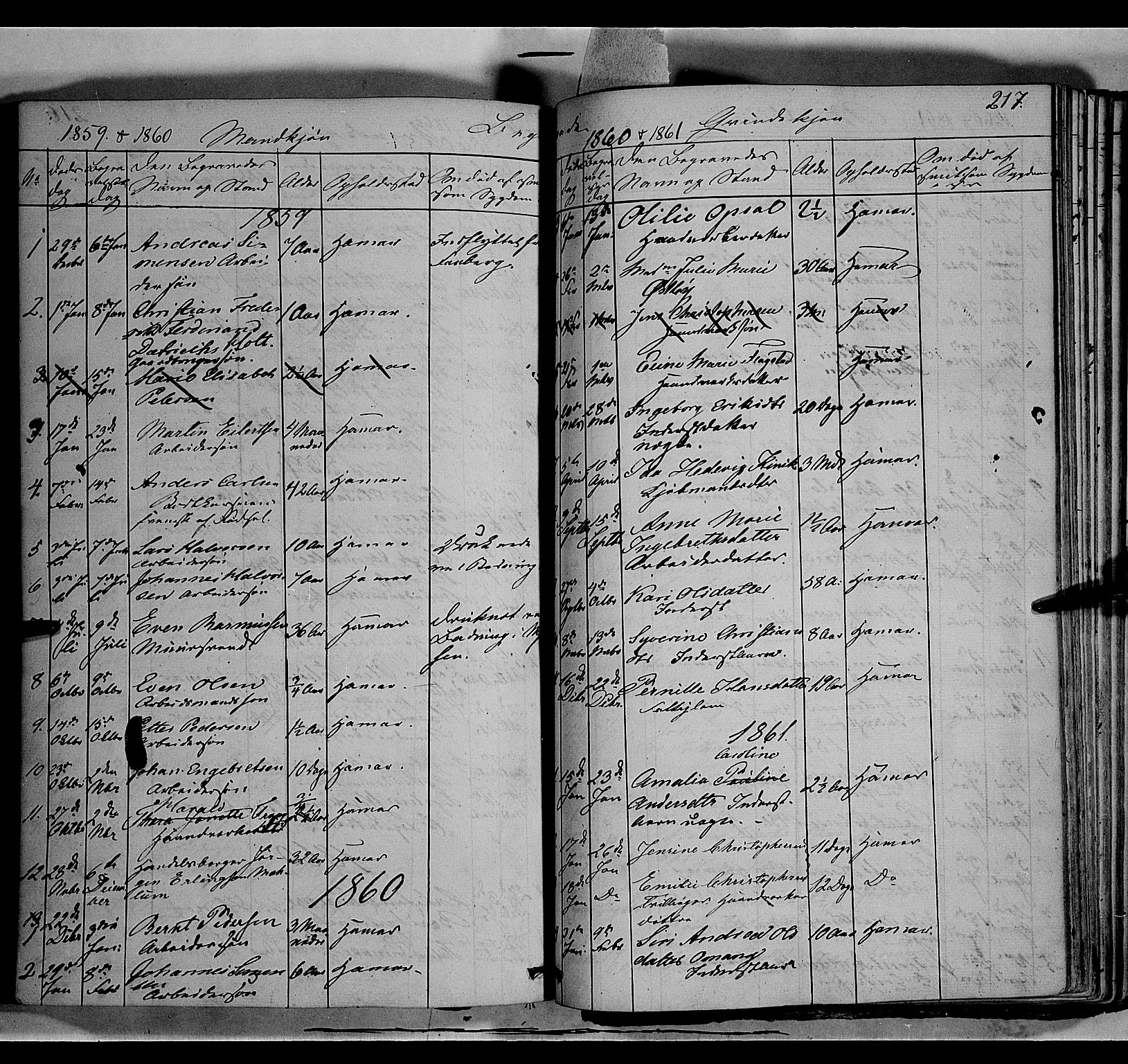 Vang prestekontor, Hedmark, SAH/PREST-008/H/Ha/Haa/L0011: Parish register (official) no. 11, 1852-1877, p. 217