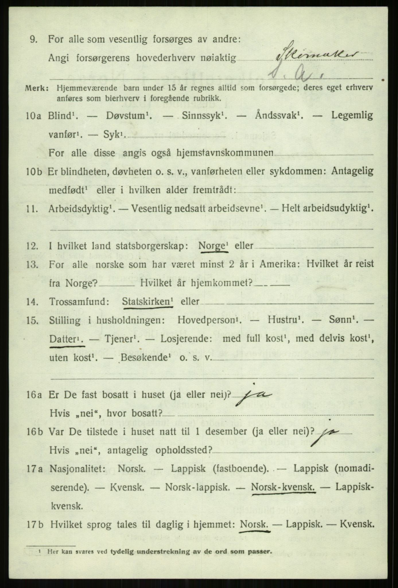 SATØ, 1920 census for Tromsøysund, 1920, p. 7233