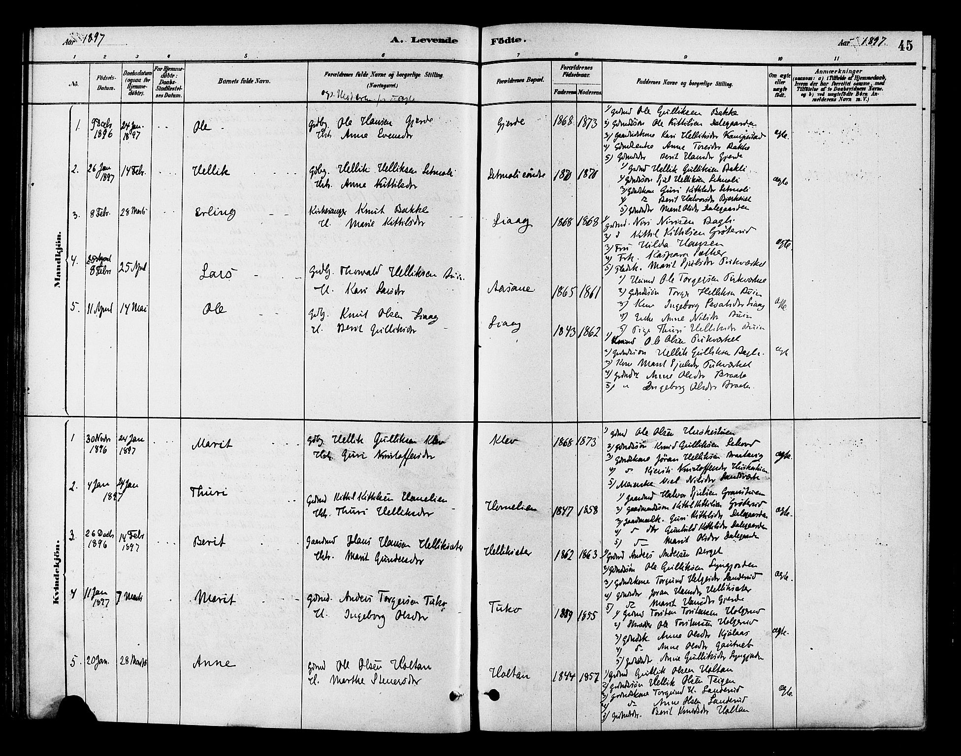 Flesberg kirkebøker, AV/SAKO-A-18/F/Fc/L0001: Parish register (official) no. III 1, 1879-1905, p. 45