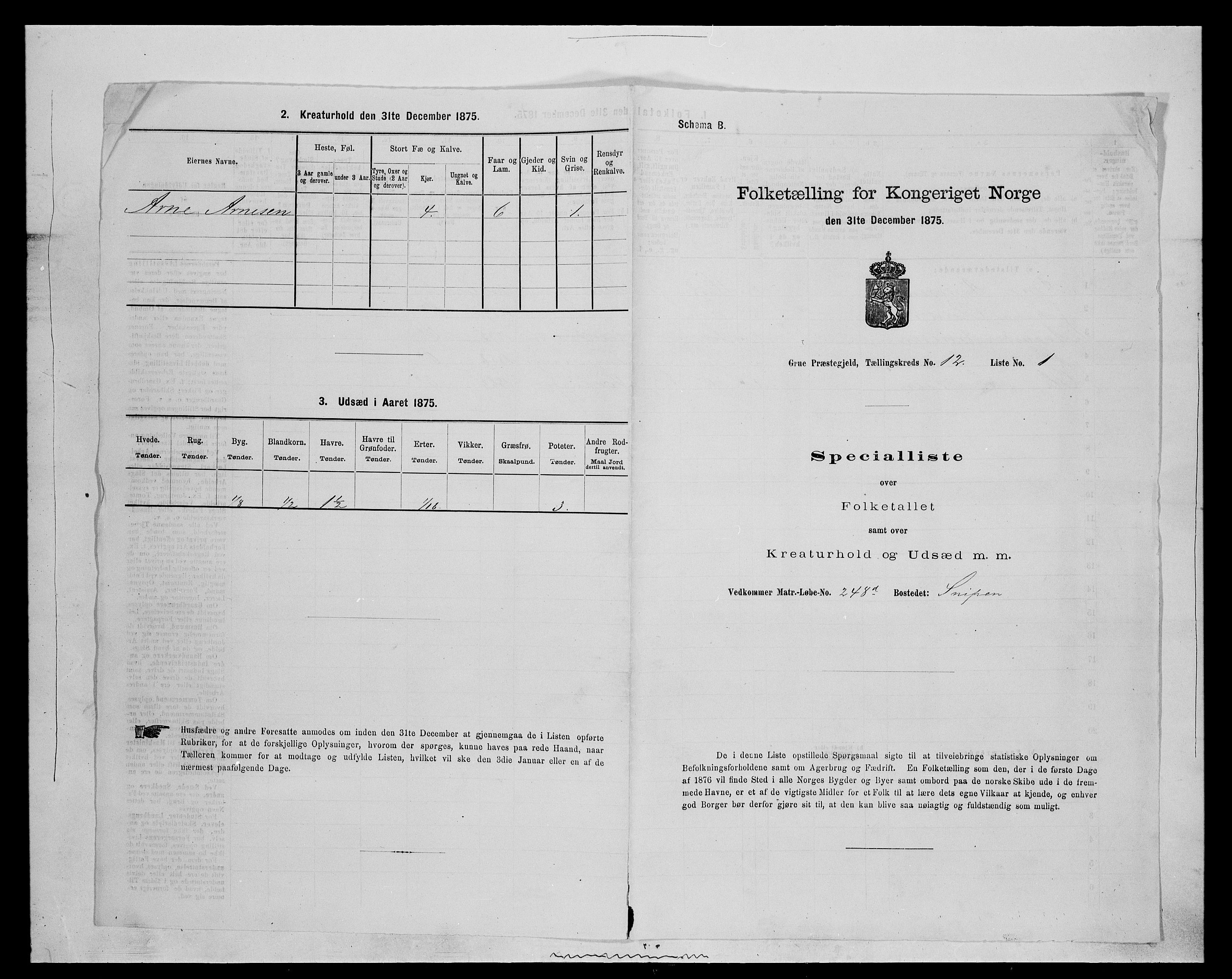 SAH, 1875 census for 0423P Grue, 1875, p. 2081