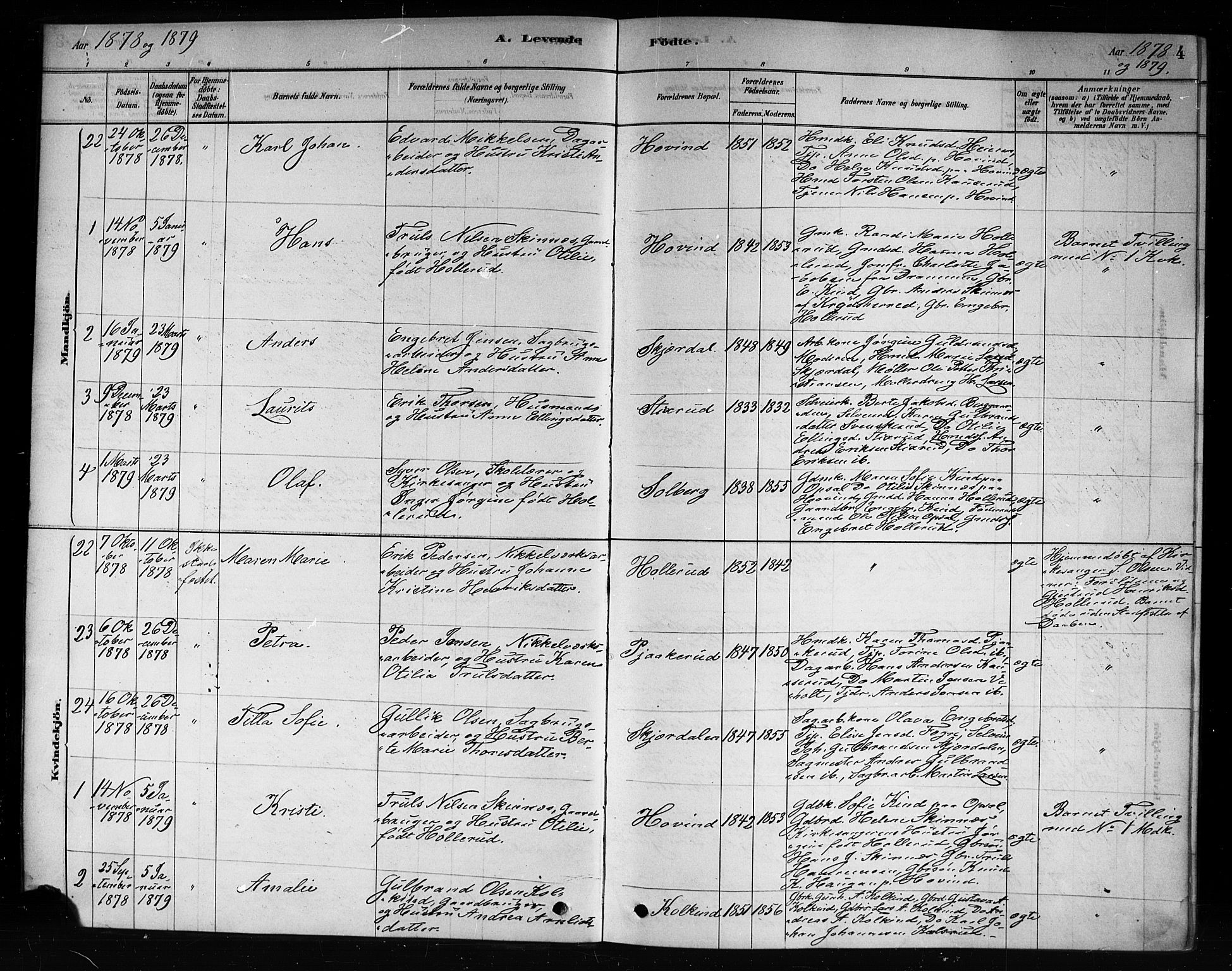 Hole kirkebøker, AV/SAKO-A-228/F/Fb/L0001: Parish register (official) no. II 1, 1878-1891, p. 4