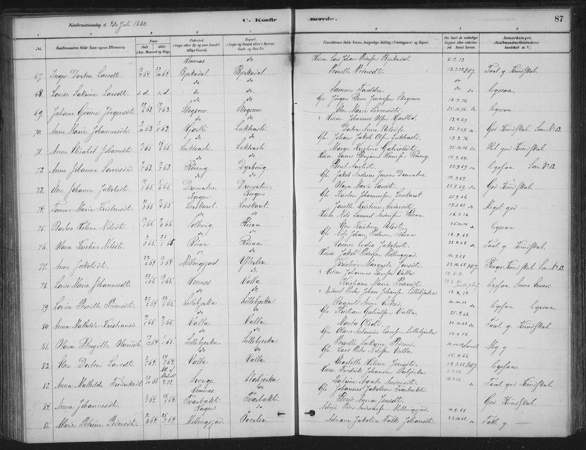 Ministerialprotokoller, klokkerbøker og fødselsregistre - Nordland, AV/SAT-A-1459/825/L0361: Parish register (official) no. 825A15, 1878-1893, p. 87