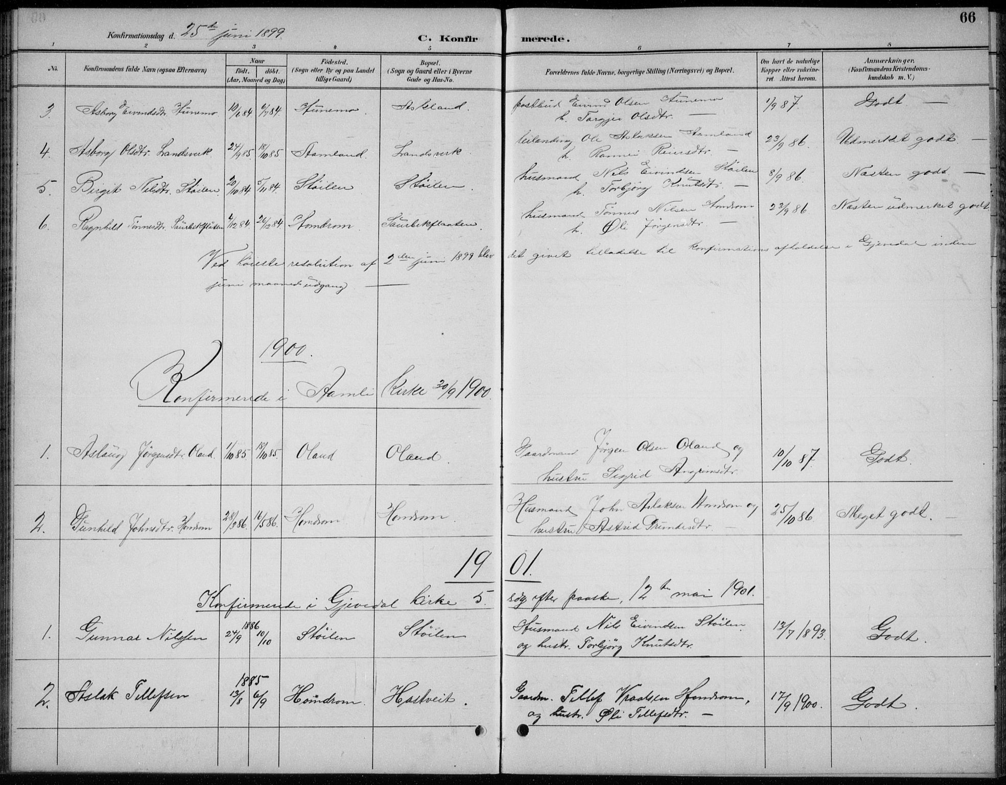 Åmli sokneprestkontor, AV/SAK-1111-0050/F/Fb/Fba/L0002: Parish register (copy) no. B 2, 1890-1912, p. 66