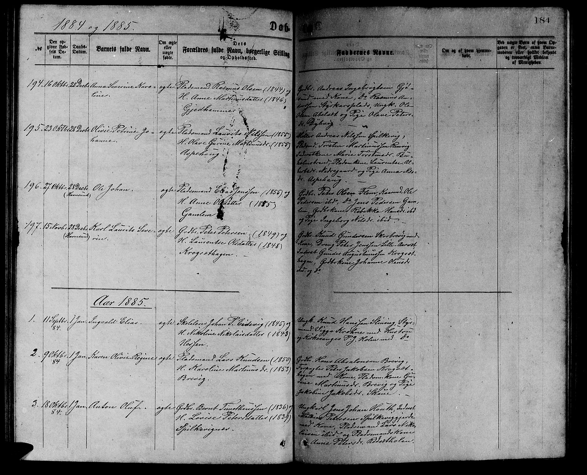 Ministerialprotokoller, klokkerbøker og fødselsregistre - Møre og Romsdal, AV/SAT-A-1454/528/L0429: Parish register (copy) no. 528C10, 1872-1886, p. 184