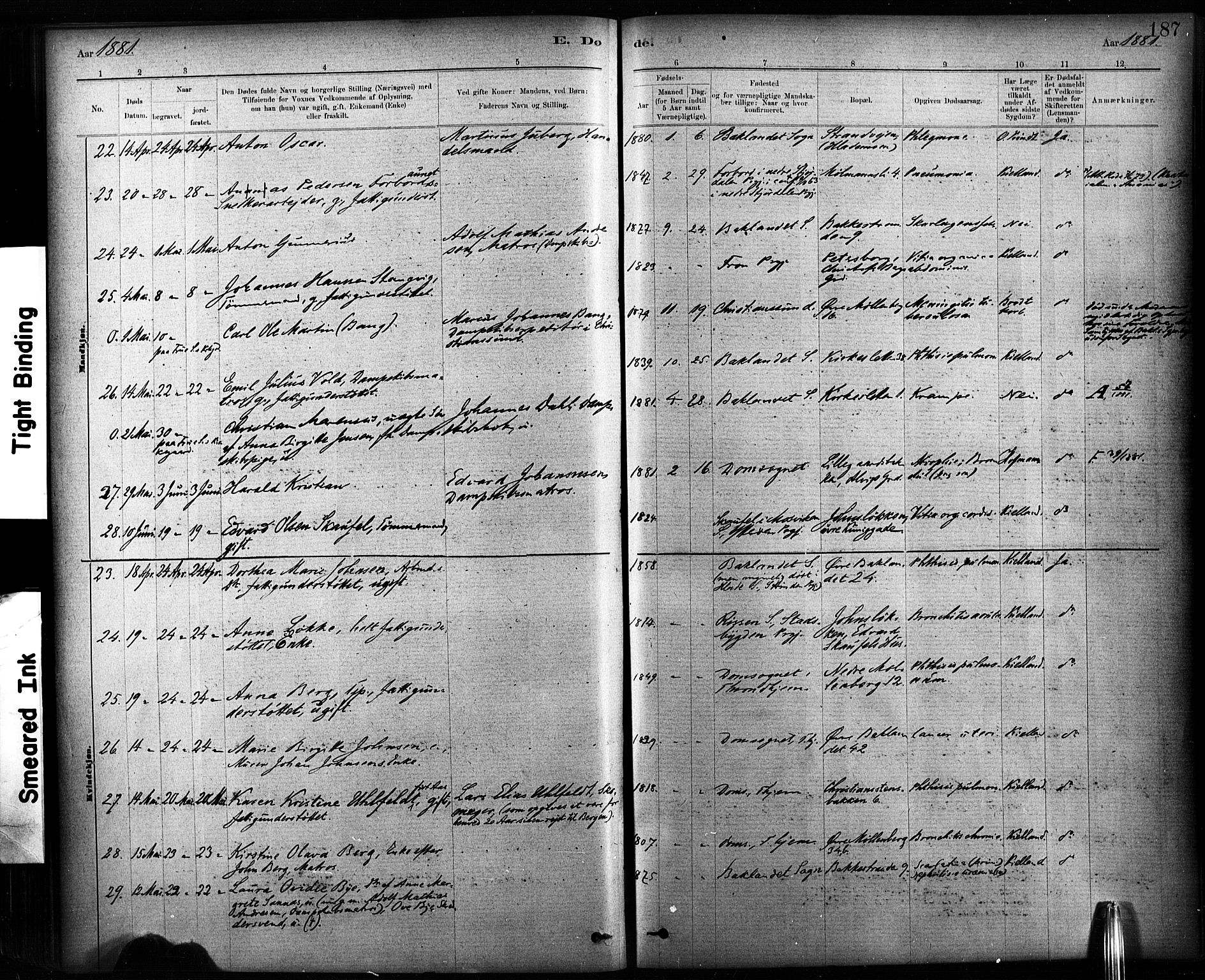 Ministerialprotokoller, klokkerbøker og fødselsregistre - Sør-Trøndelag, AV/SAT-A-1456/604/L0189: Parish register (official) no. 604A10, 1878-1892, p. 187