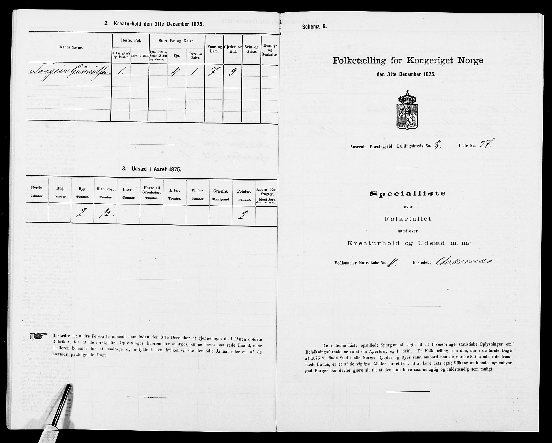 SAK, 1875 census for 0980P Åseral, 1875, p. 273