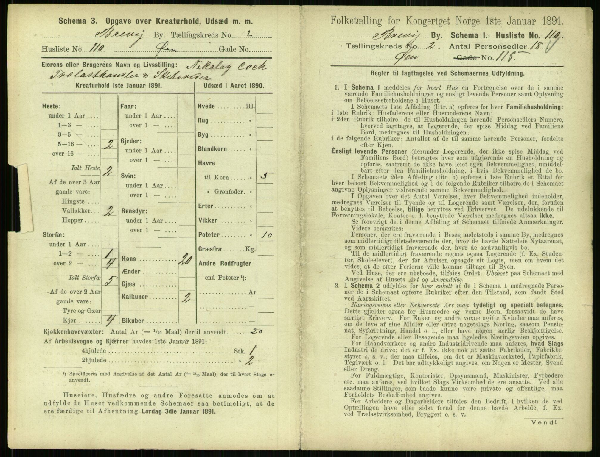 RA, 1891 census for 0804 Brevik, 1891, p. 497