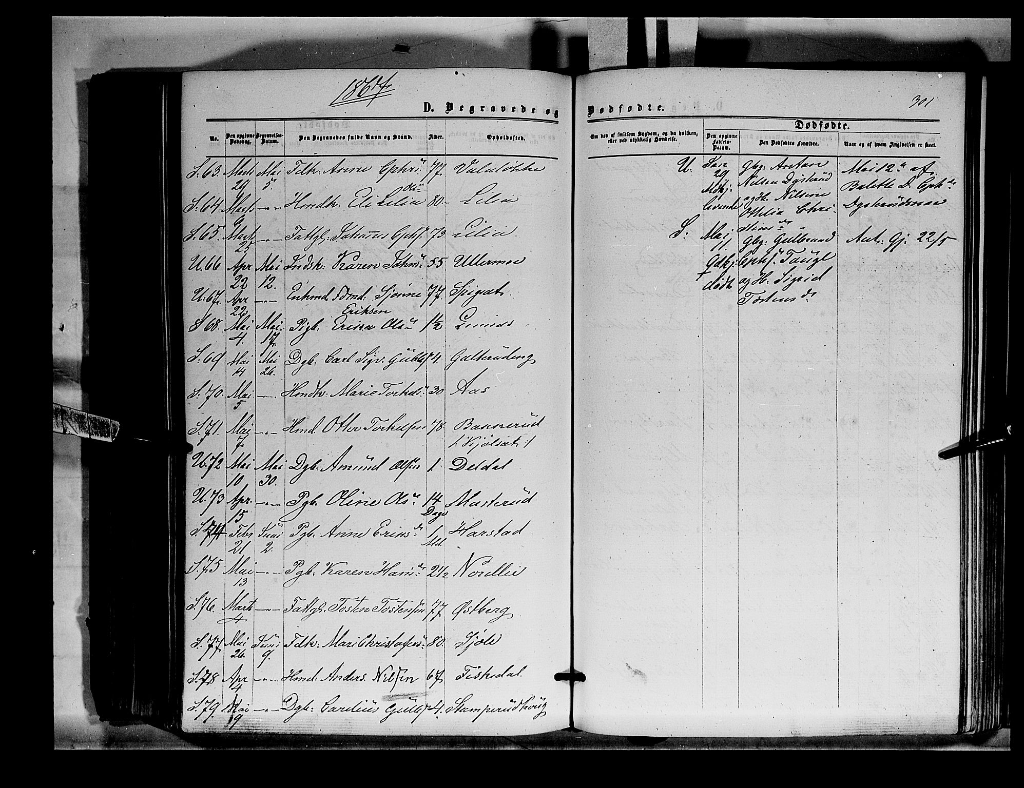 Sør-Odal prestekontor, AV/SAH-PREST-030/H/Ha/Haa/L0003: Parish register (official) no. 3, 1864-1870, p. 301