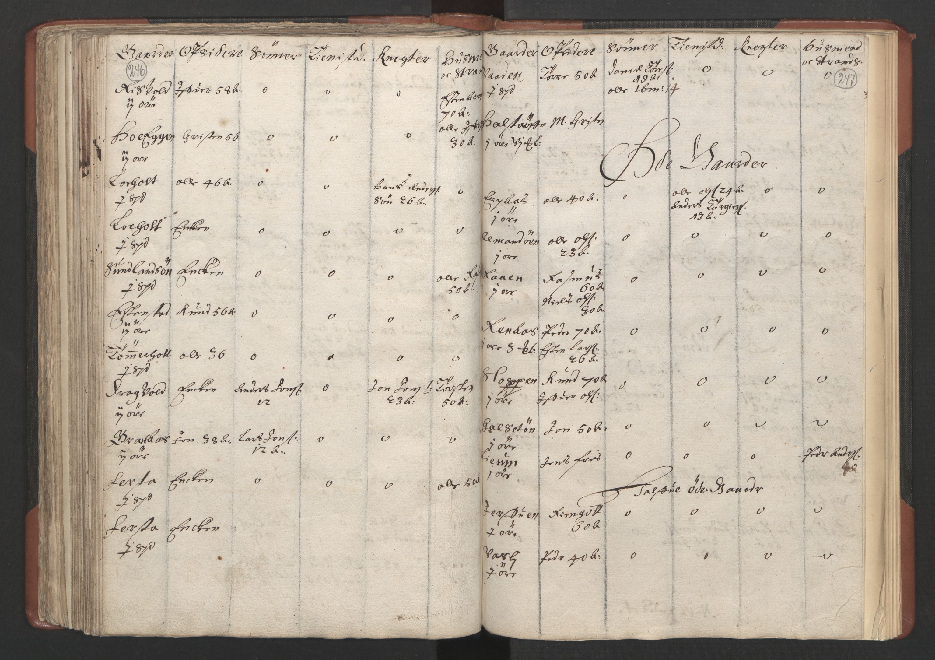 RA, Bailiff's Census 1664-1666, no. 18: Gauldal fogderi, Strinda fogderi and Orkdal fogderi, 1664, p. 246-247