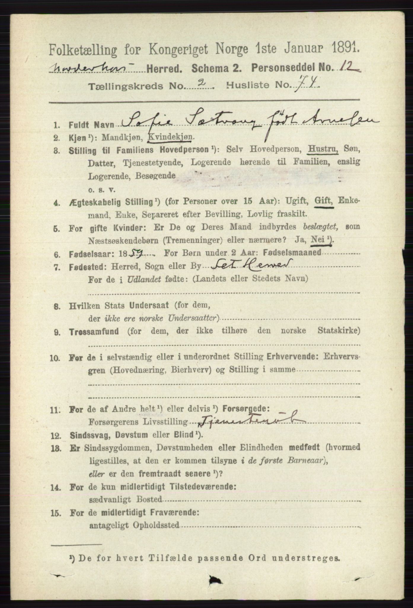 RA, 1891 census for 0613 Norderhov, 1891, p. 1150