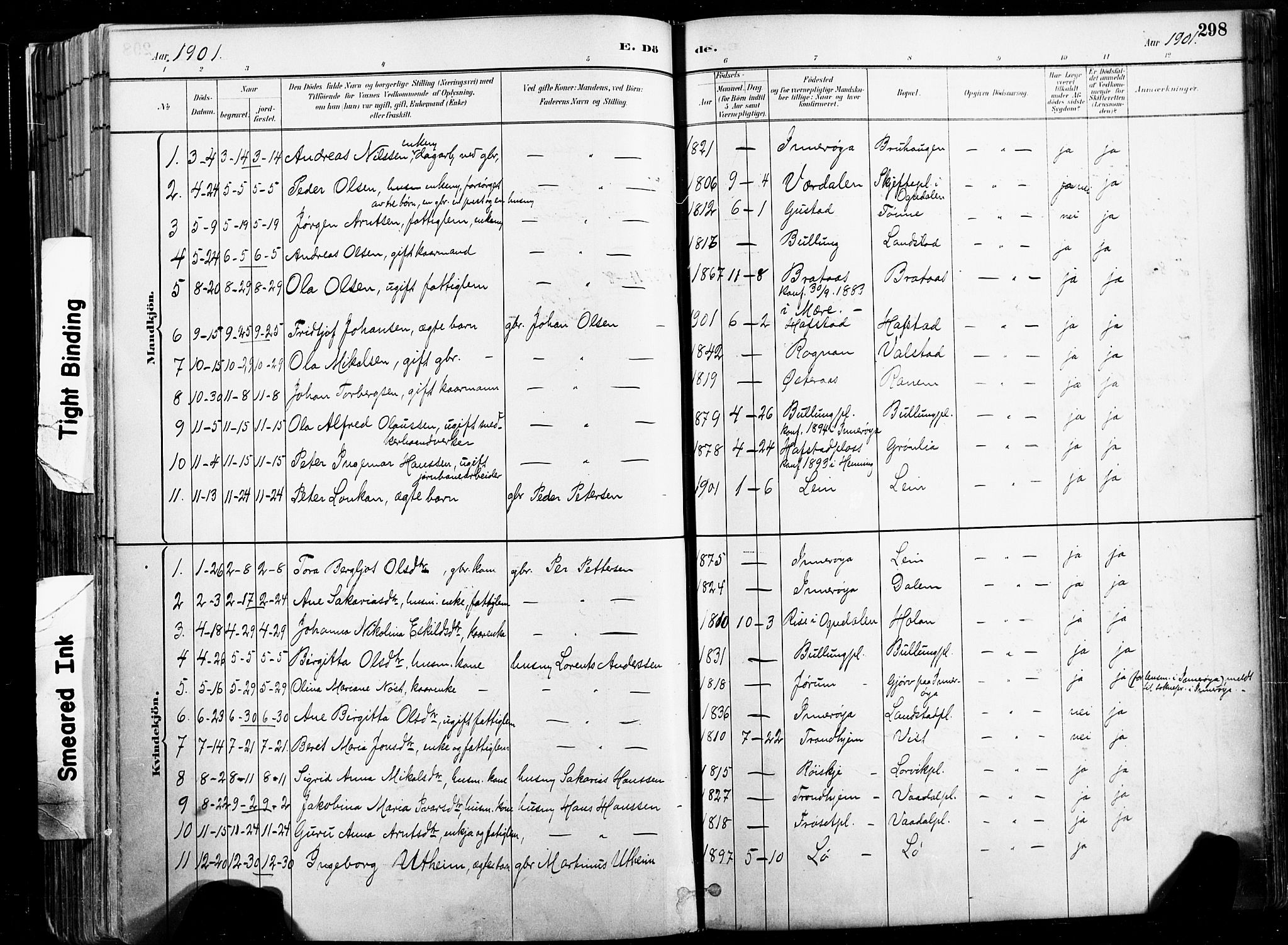 Ministerialprotokoller, klokkerbøker og fødselsregistre - Nord-Trøndelag, SAT/A-1458/735/L0351: Parish register (official) no. 735A10, 1884-1908, p. 298