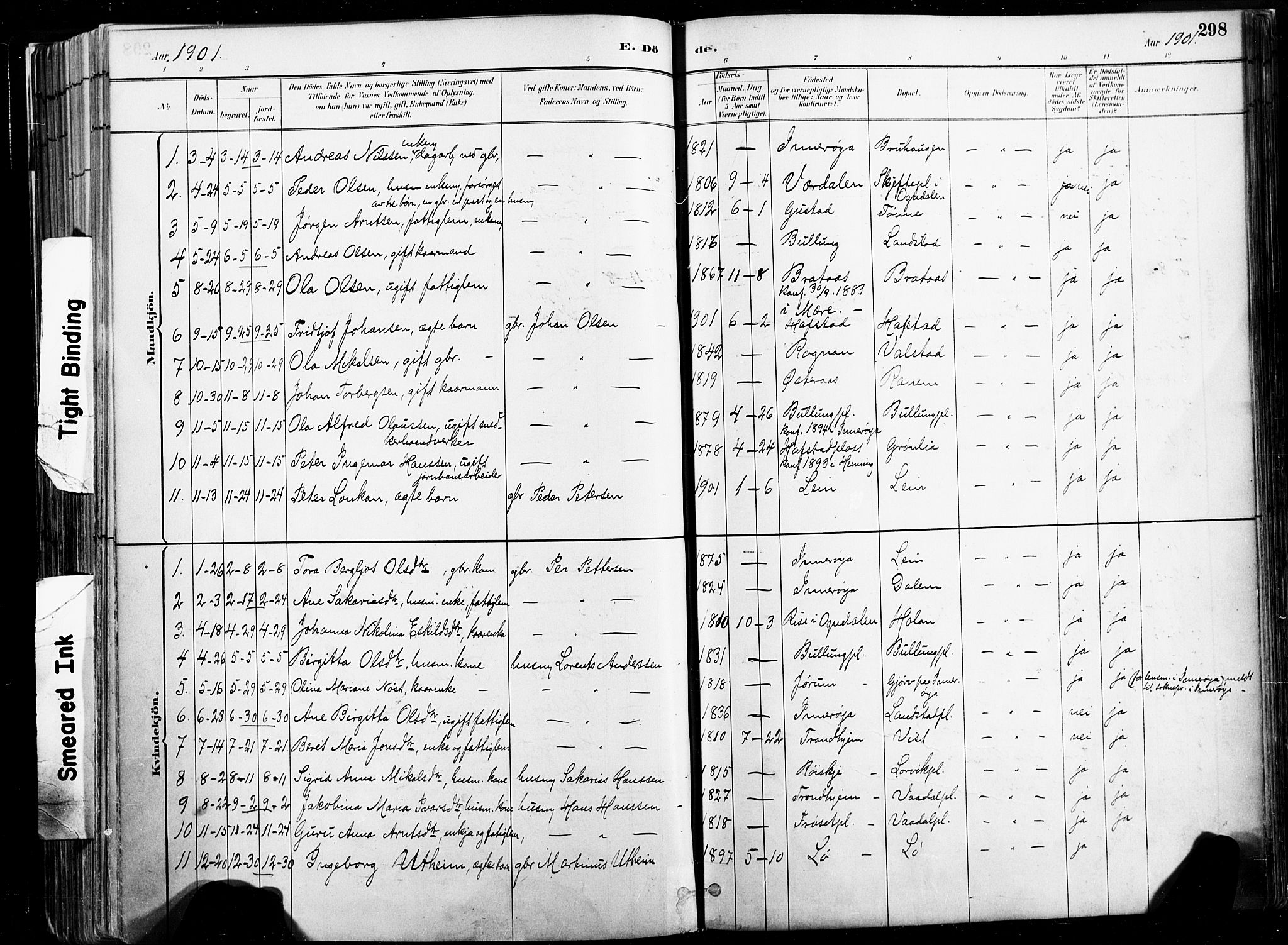 Ministerialprotokoller, klokkerbøker og fødselsregistre - Nord-Trøndelag, AV/SAT-A-1458/735/L0351: Parish register (official) no. 735A10, 1884-1908, p. 298