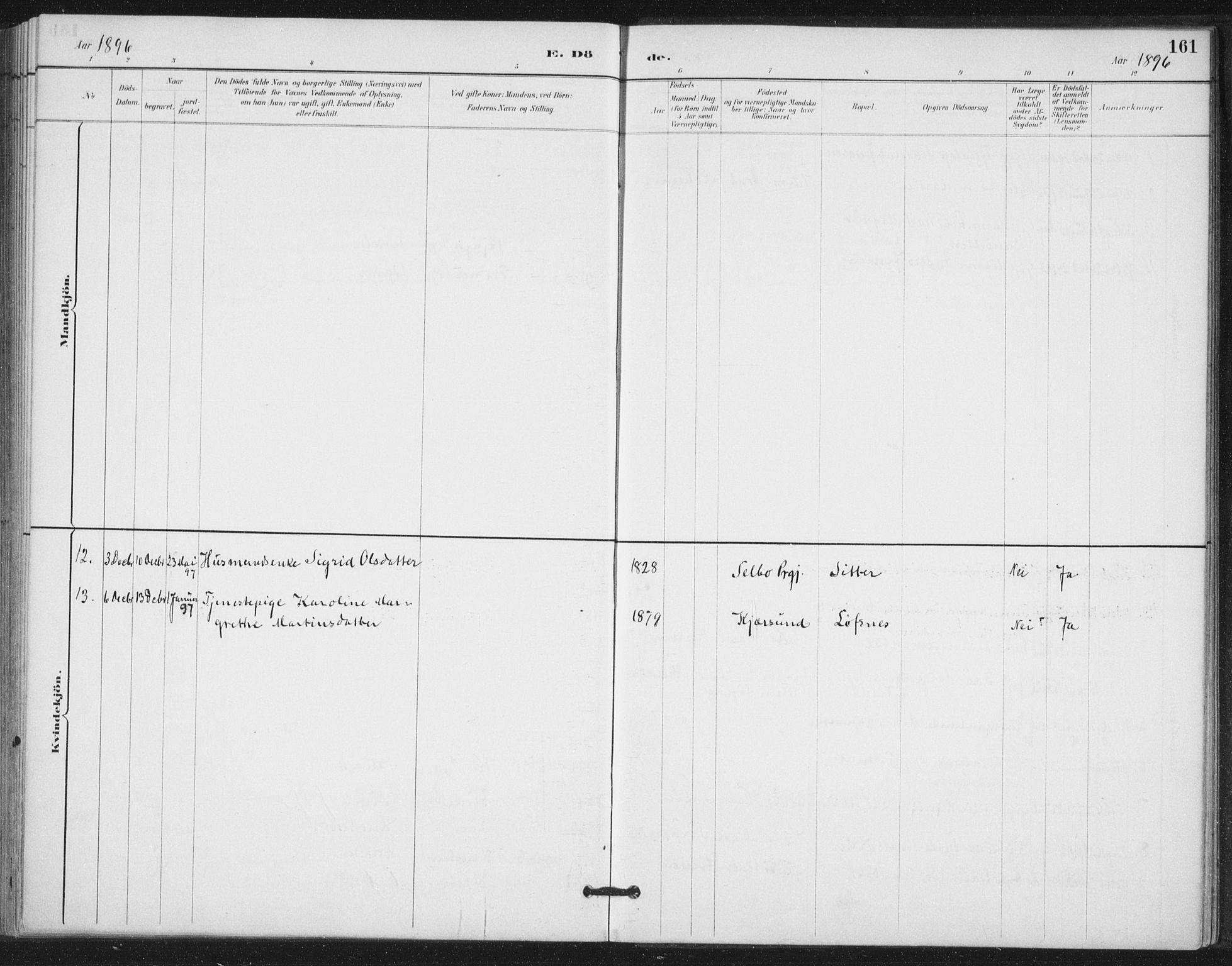 Ministerialprotokoller, klokkerbøker og fødselsregistre - Nord-Trøndelag, SAT/A-1458/772/L0603: Parish register (official) no. 772A01, 1885-1912, p. 161