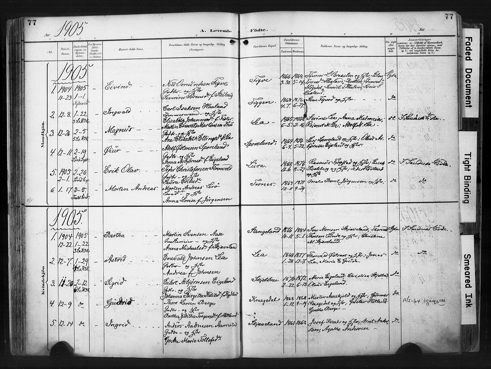 Høyland sokneprestkontor, SAST/A-101799/001/30BA/L0015: Parish register (official) no. A 14, 1899-1911, p. 77