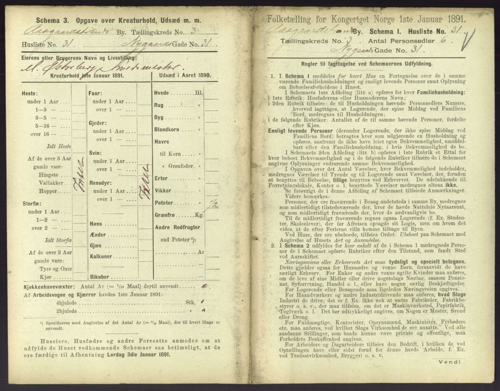 RA, 1891 census for 0704 Åsgårdstrand, 1891, p. 197