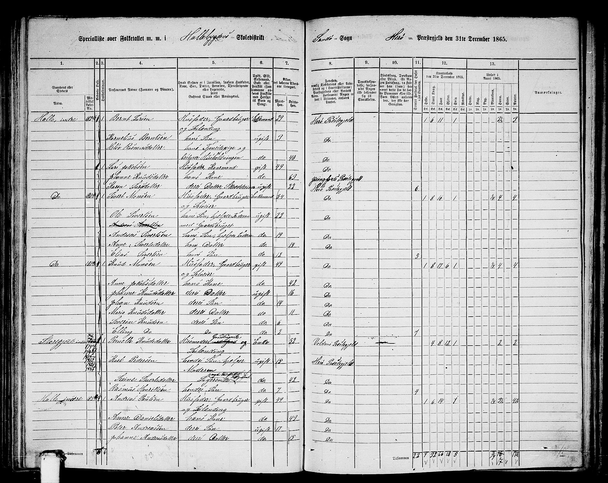 RA, 1865 census for Herøy, 1865, p. 123