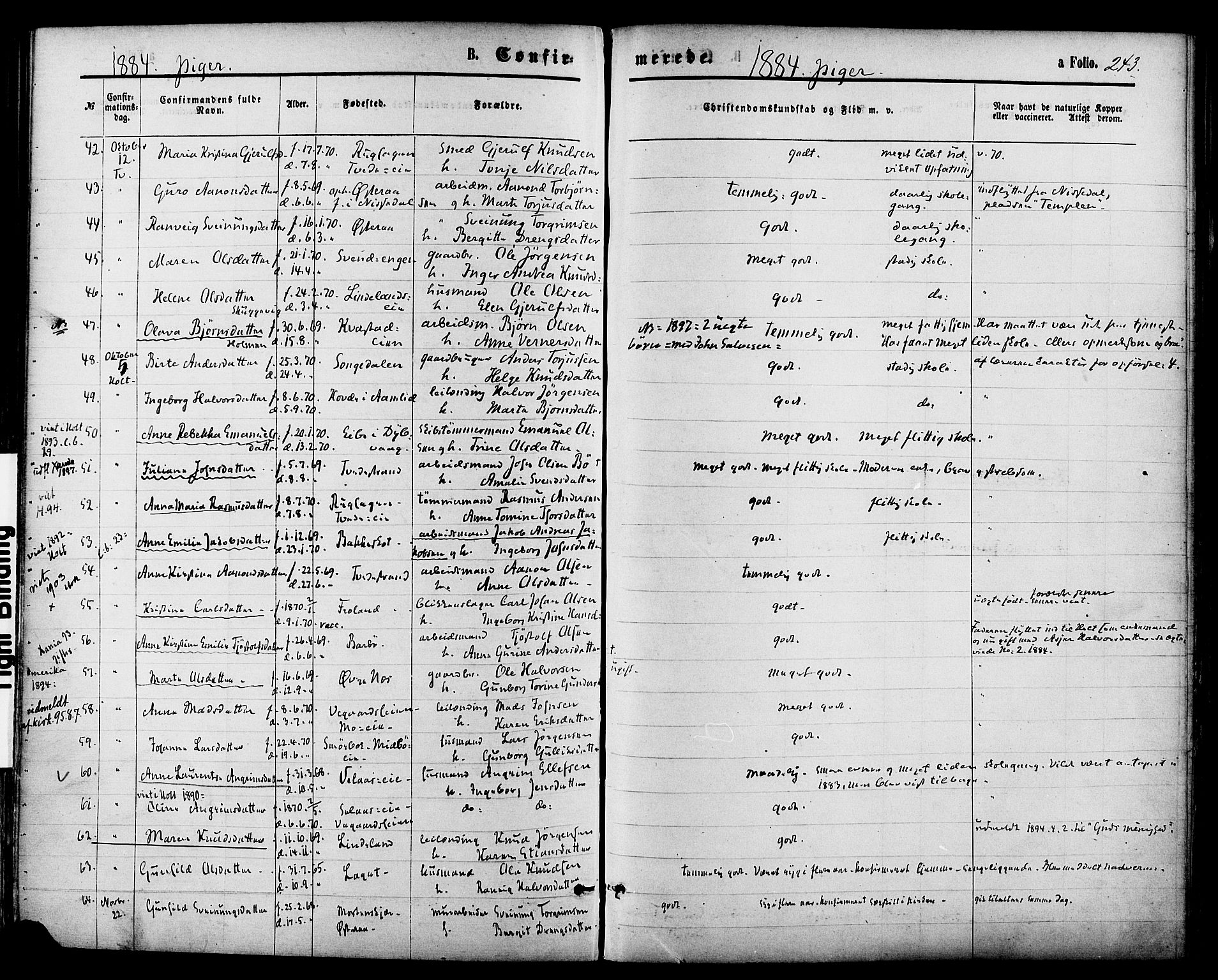 Holt sokneprestkontor, AV/SAK-1111-0021/F/Fa/L0010: Parish register (official) no. A 10, 1872-1885, p. 243