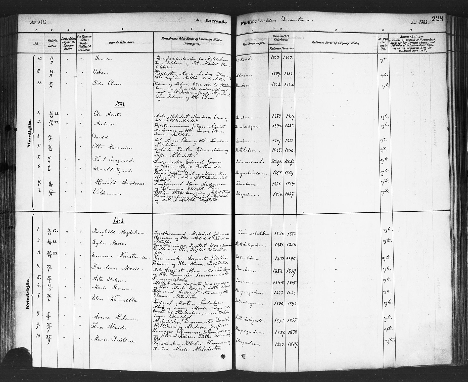 Halden prestekontor Kirkebøker, SAO/A-10909/F/Fa/L0011: Parish register (official) no. I 11, 1878-1889, p. 228
