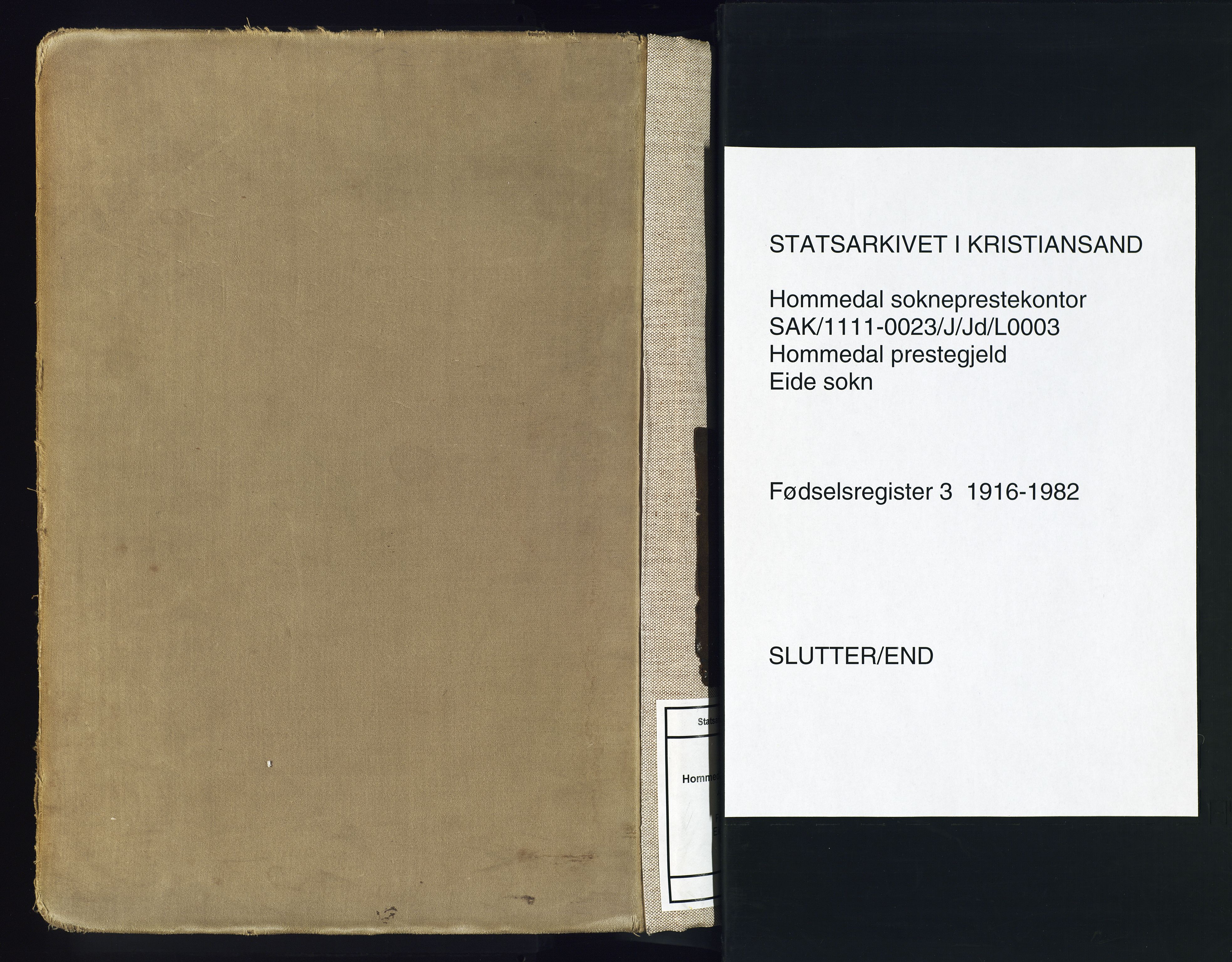 Hommedal sokneprestkontor, AV/SAK-1111-0023/J/Jd/L0003: Birth register no. 3, 1916-1982