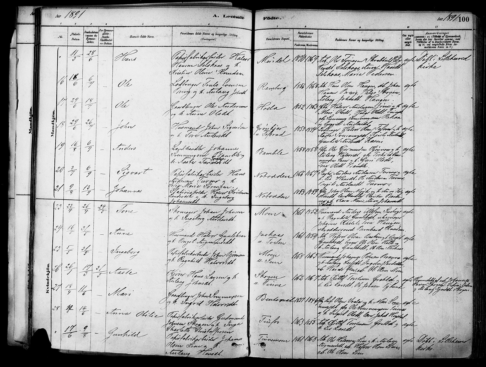 Heddal kirkebøker, AV/SAKO-A-268/F/Fa/L0008: Parish register (official) no. I 8, 1878-1903, p. 100