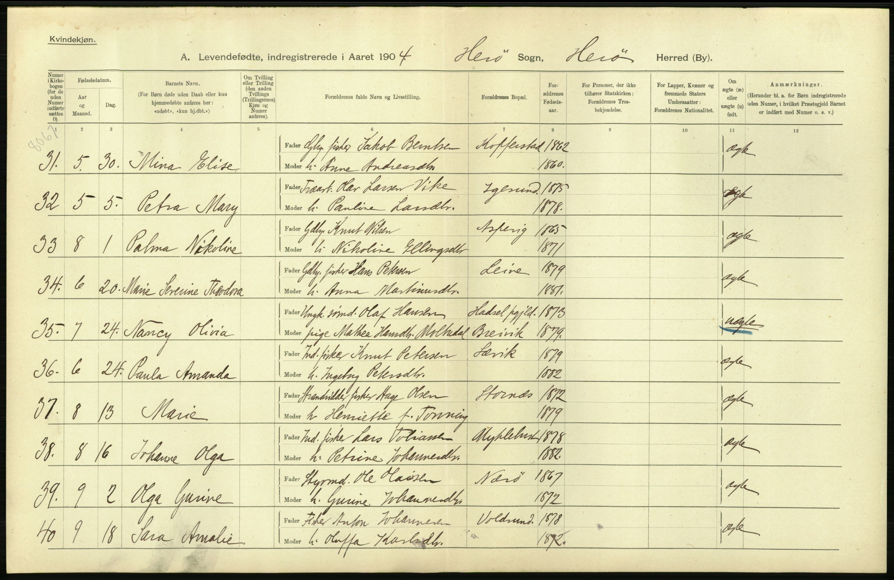 Statistisk sentralbyrå, Sosiodemografiske emner, Befolkning, AV/RA-S-2228/D/Df/Dfa/Dfab/L0016: Romsdals amt: Fødte, gifte, døde., 1904, p. 40