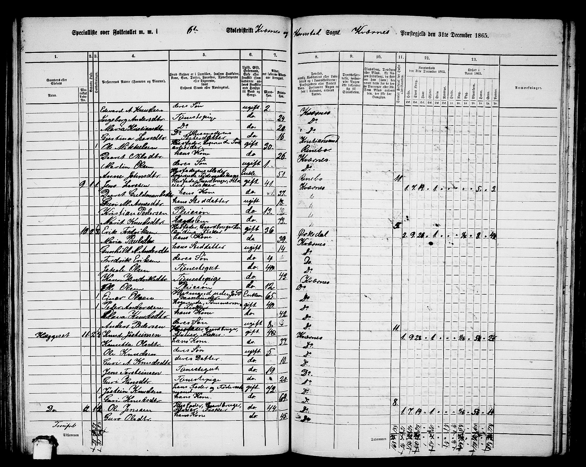 RA, 1865 census for Kvernes, 1865, p. 111