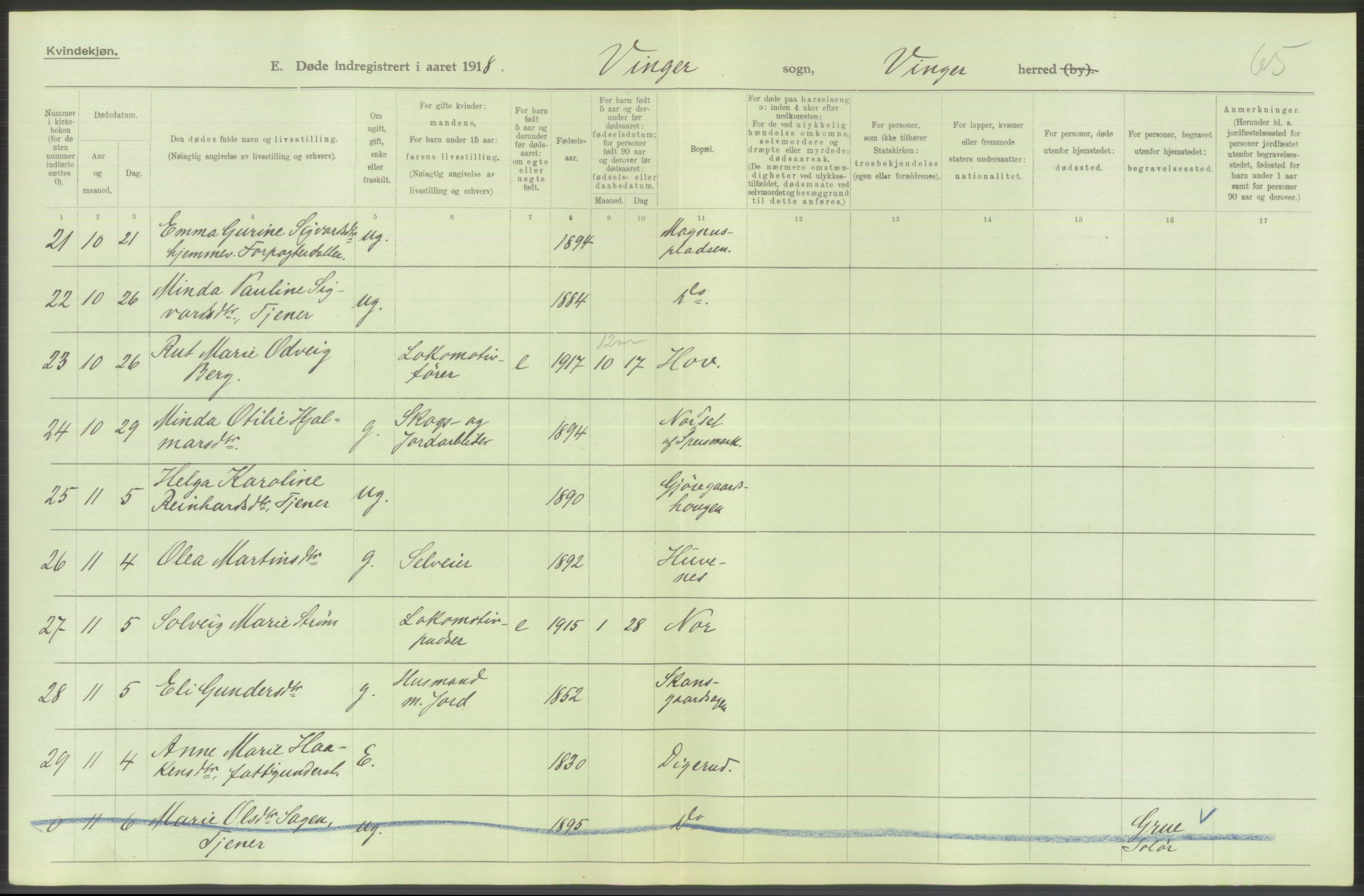 Statistisk sentralbyrå, Sosiodemografiske emner, Befolkning, AV/RA-S-2228/D/Df/Dfb/Dfbh/L0014: Hedemarkens fylke: Døde. Bygder og byer., 1918, p. 304