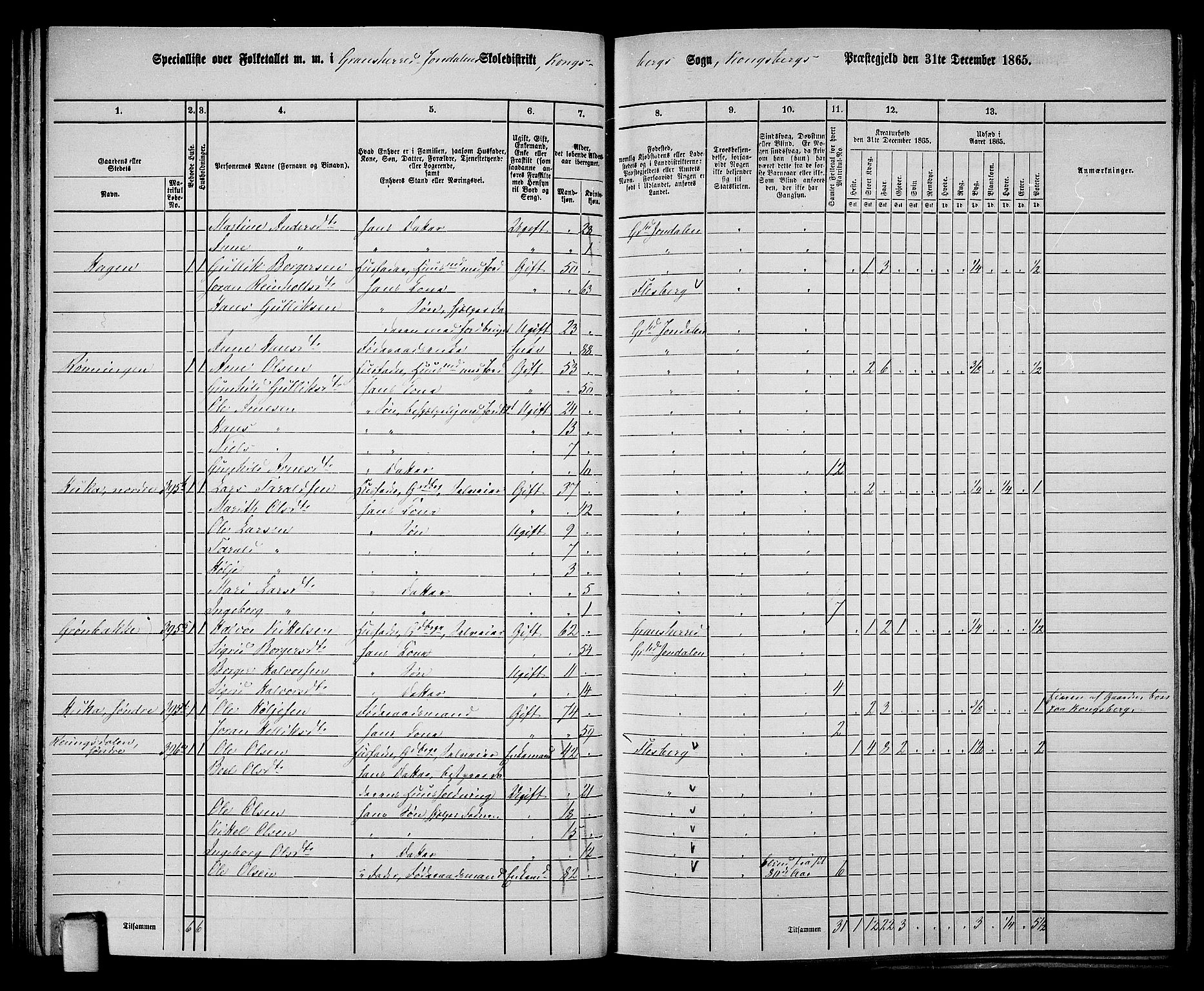 RA, 1865 census for Gransherad, 1865, p. 61