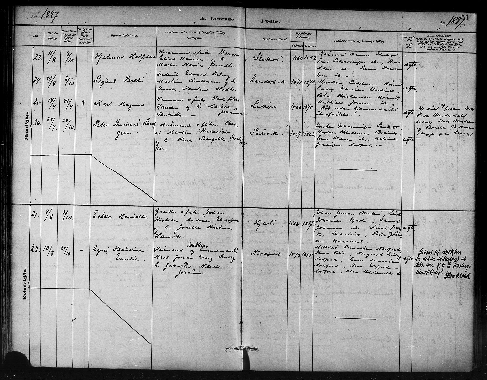 Ministerialprotokoller, klokkerbøker og fødselsregistre - Nordland, AV/SAT-A-1459/858/L0831: Parish register (official) no. 858A01, 1884-1902, p. 51