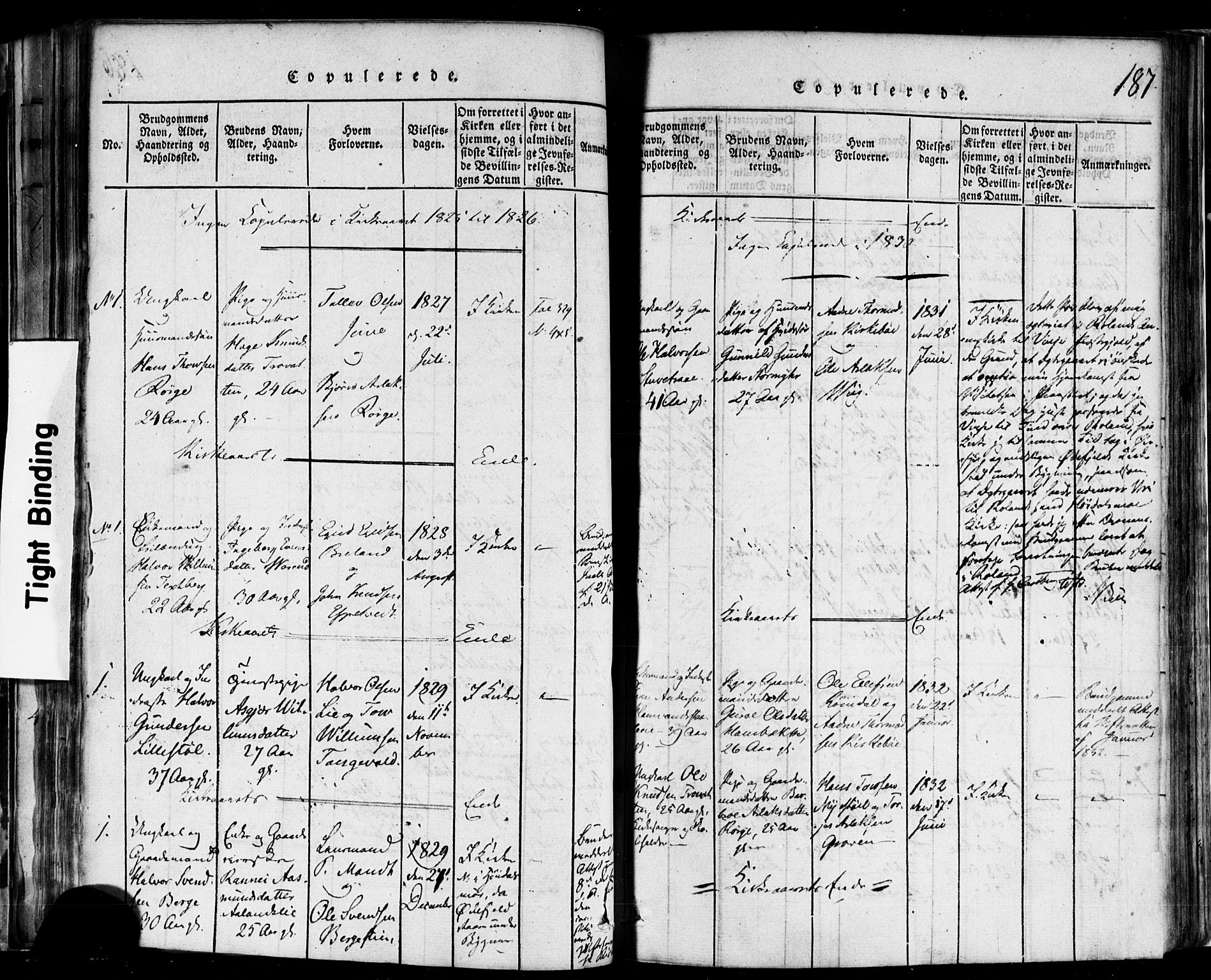 Rauland kirkebøker, AV/SAKO-A-292/F/Fa/L0002: Parish register (official) no. I 2, 1815-1860, p. 187