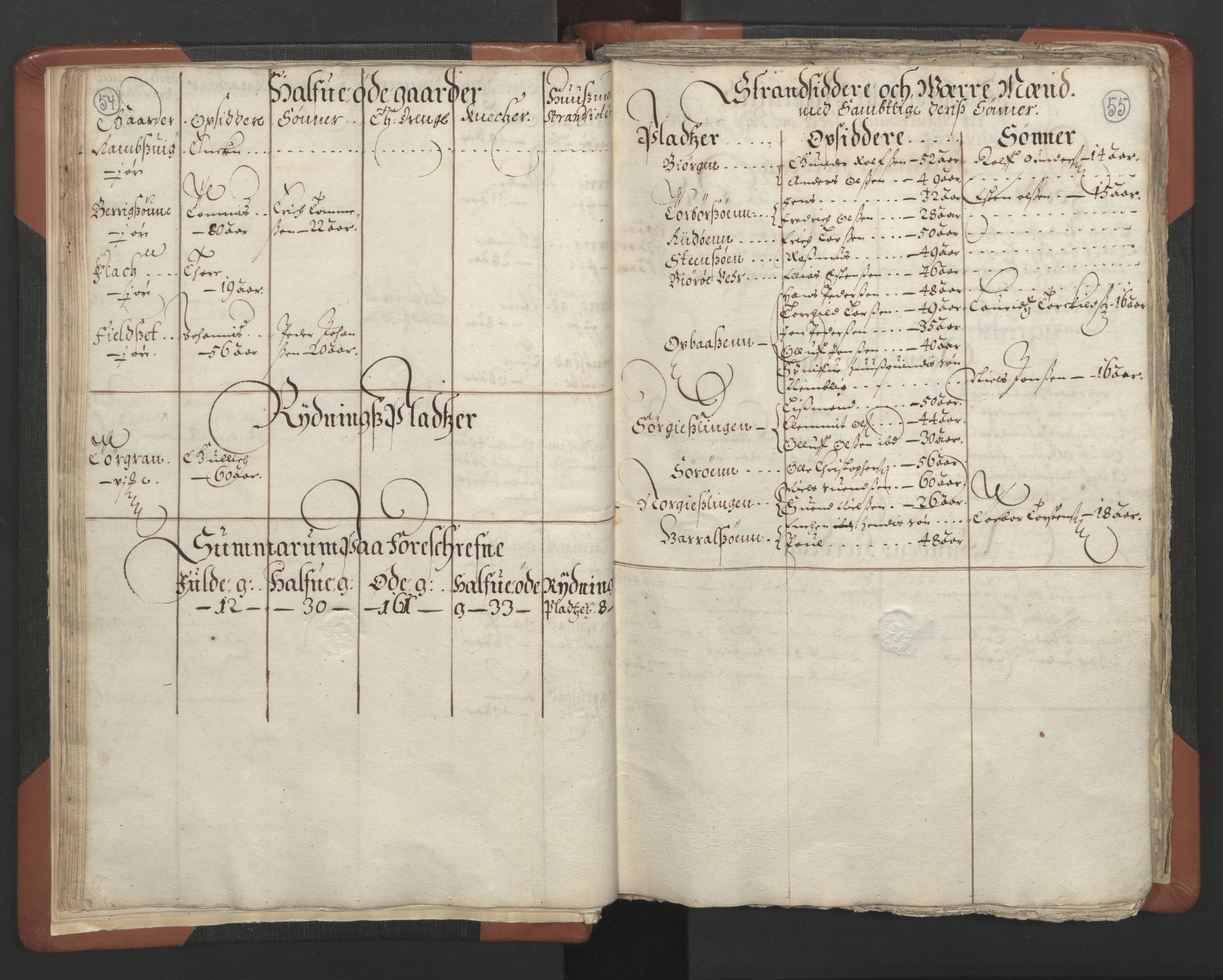 RA, Vicar's Census 1664-1666, no. 34: Namdal deanery, 1664-1666, p. 54-55